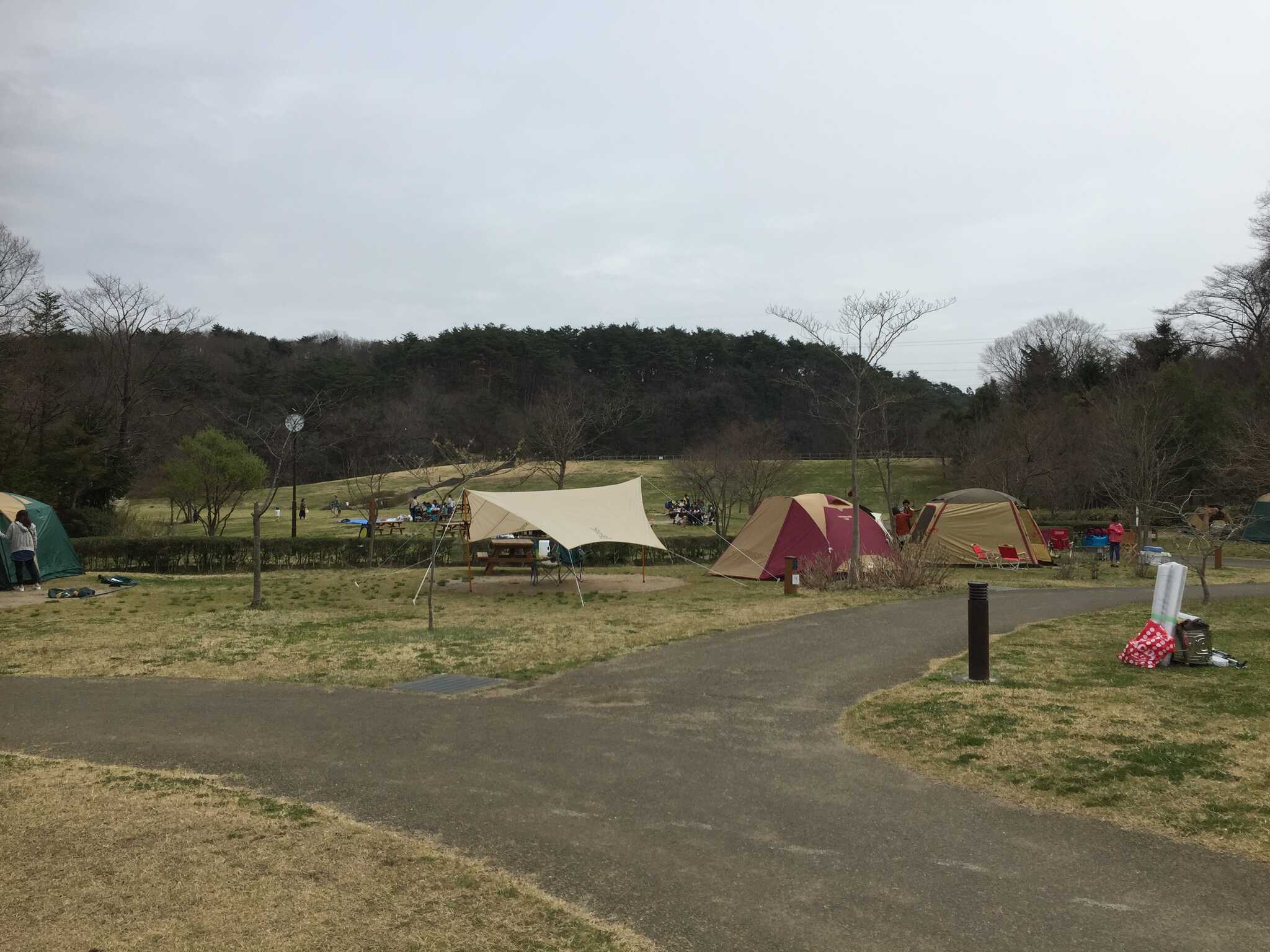 水の森公園赤坂建設キャンプフィールドの写真 5枚目