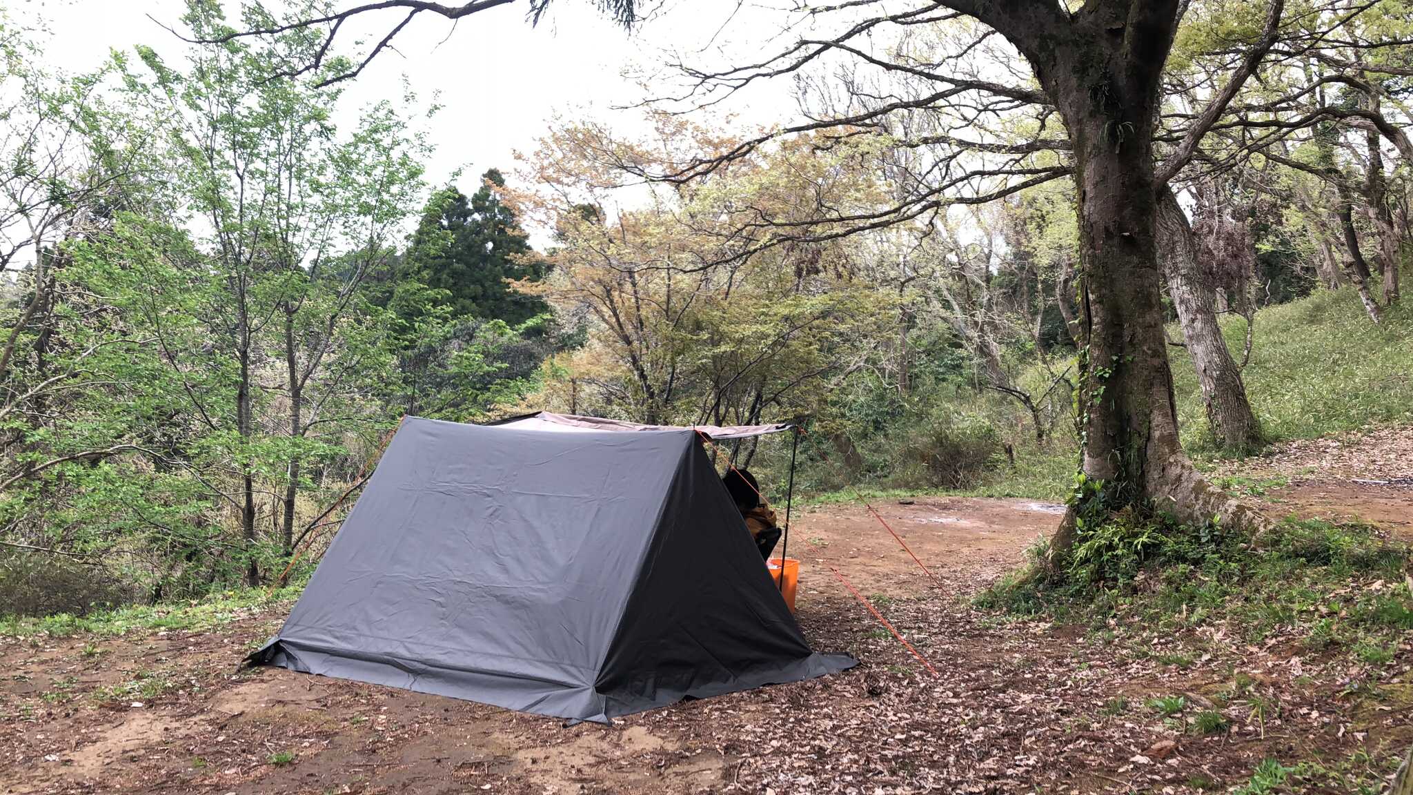 勝古沢キャンプ場の写真 2枚目