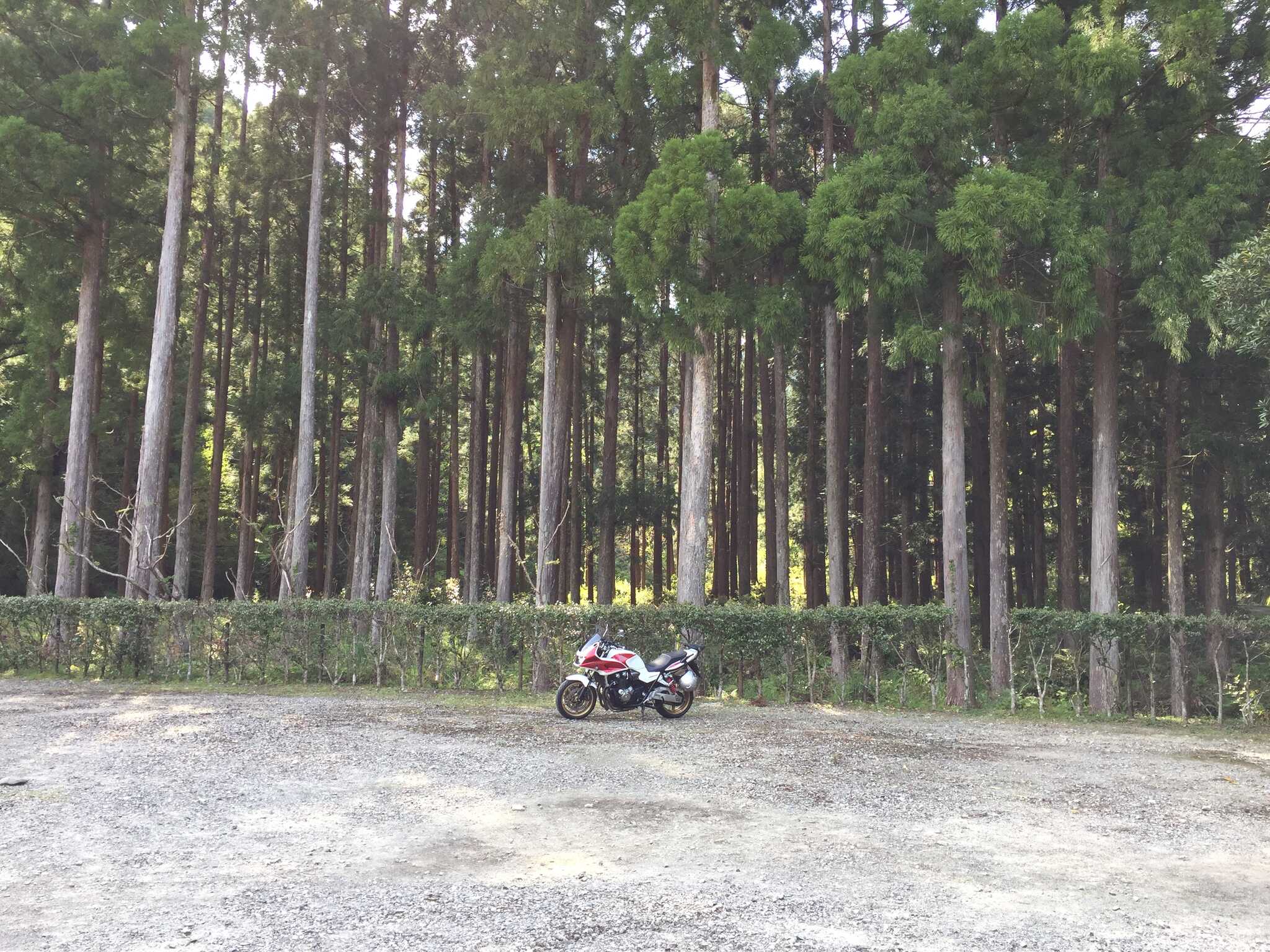 船津キャンプ場の写真 2枚目