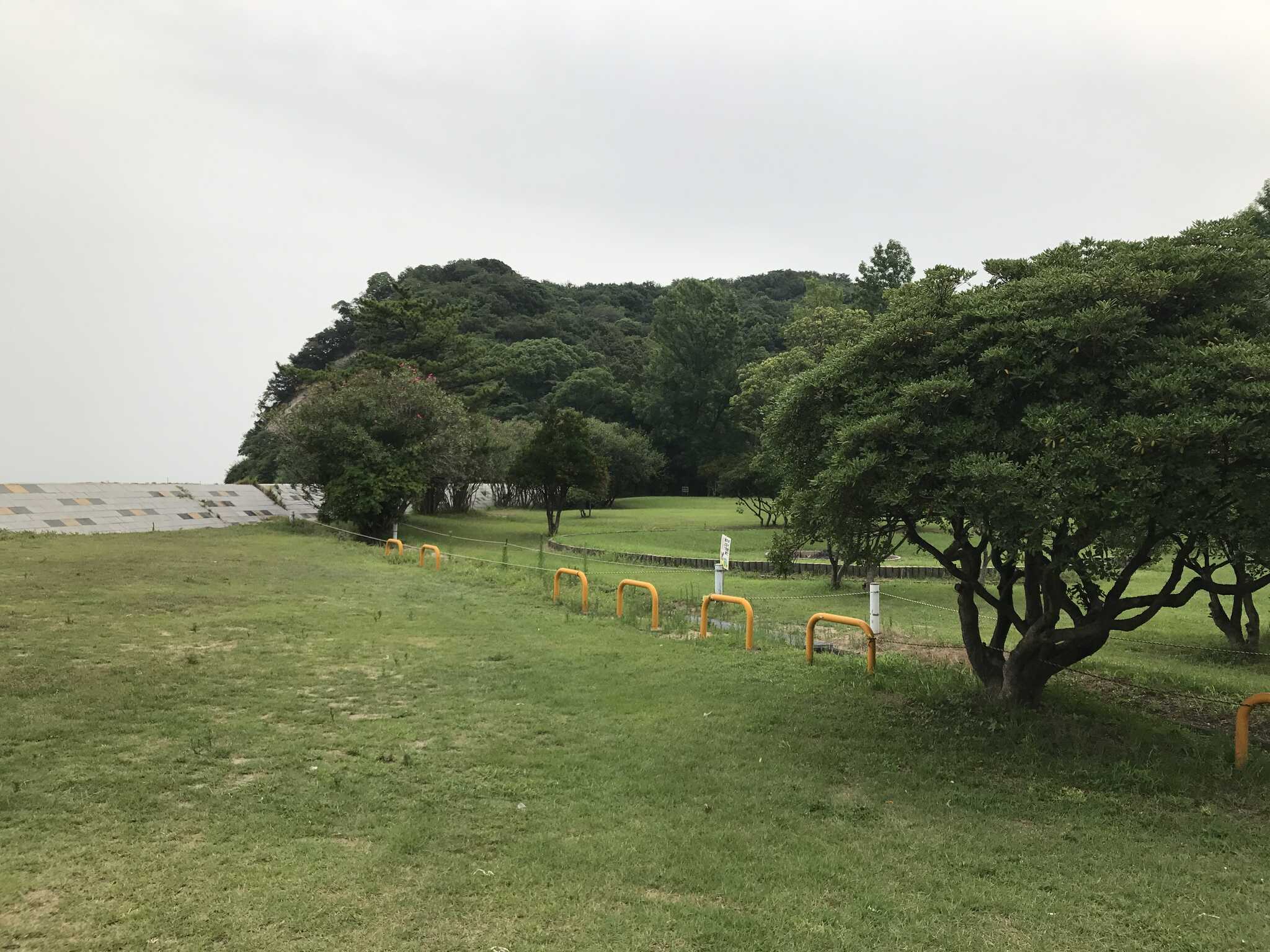 田の浦野営場の写真 3枚目