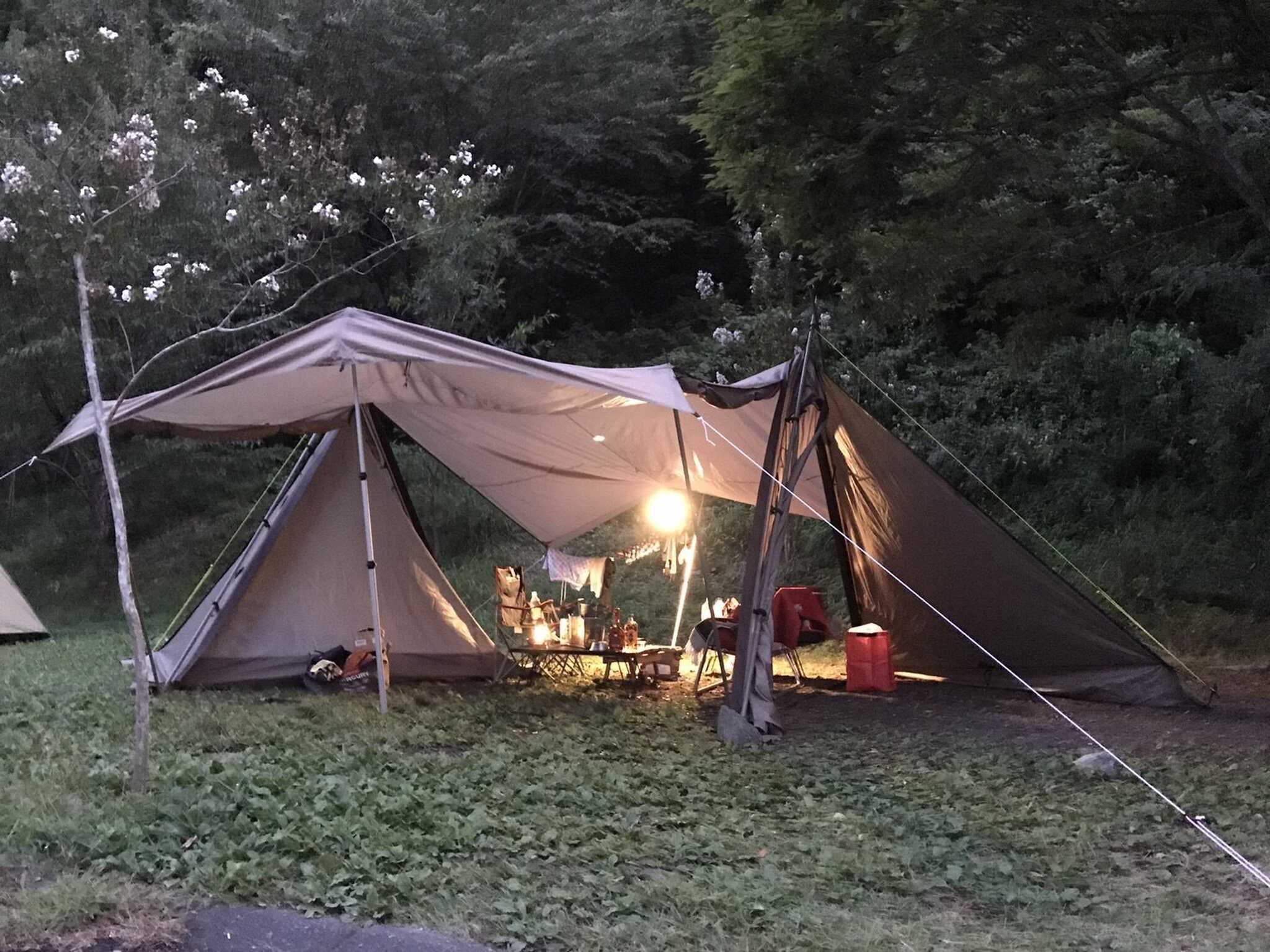 夢の森公園キャンプ場の写真 5枚目