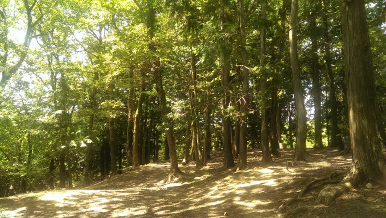 赤磐市竜天天文台公園の写真 4枚目