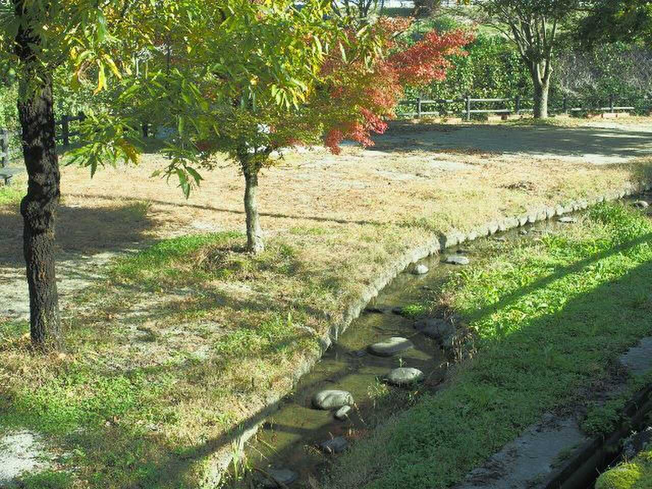 小塩ほたるの里広場 キャンプ場の写真 5枚目