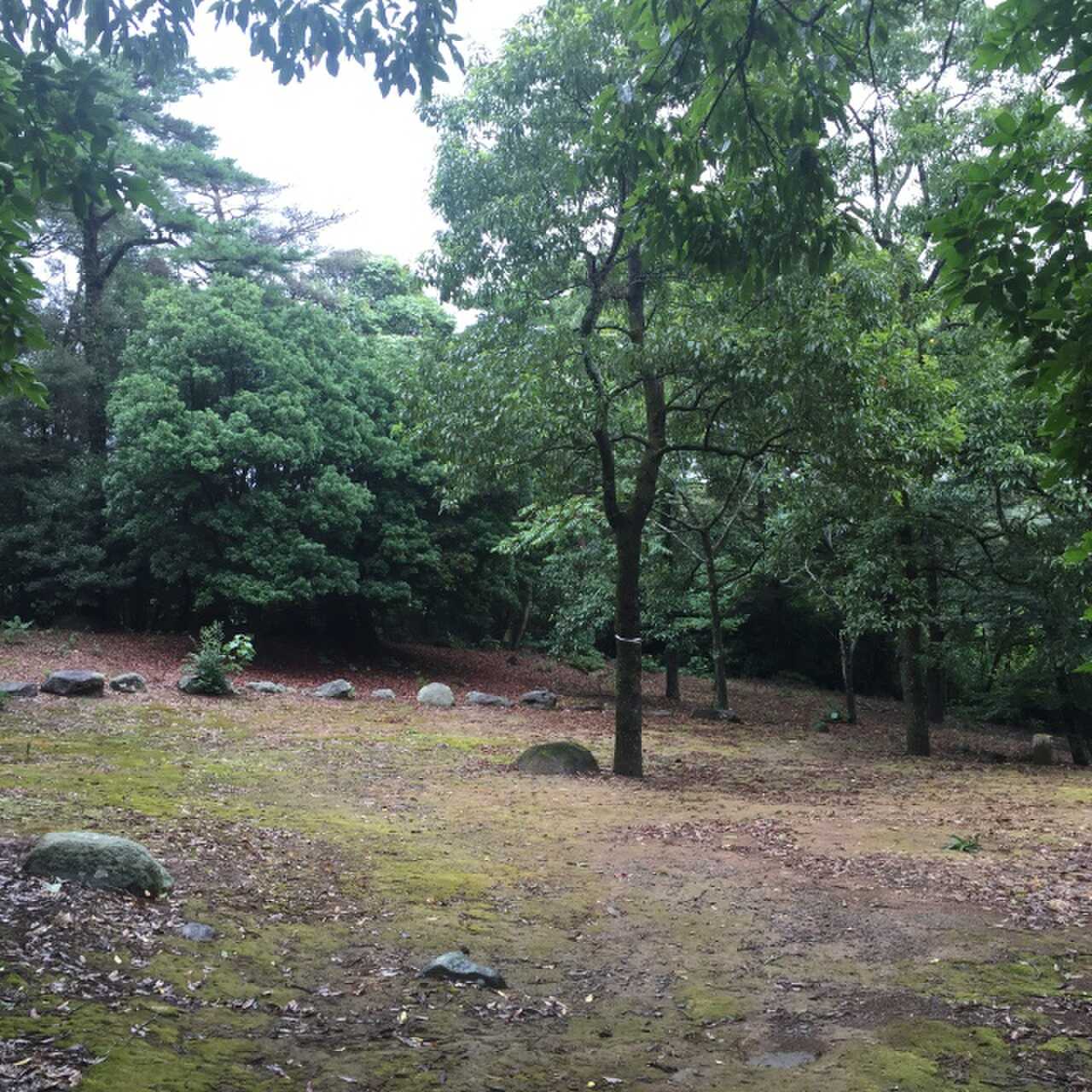 【R2/1 現在閉鎖】龍頭泉いこいの広場 LONGTABLE CAMPGROUND