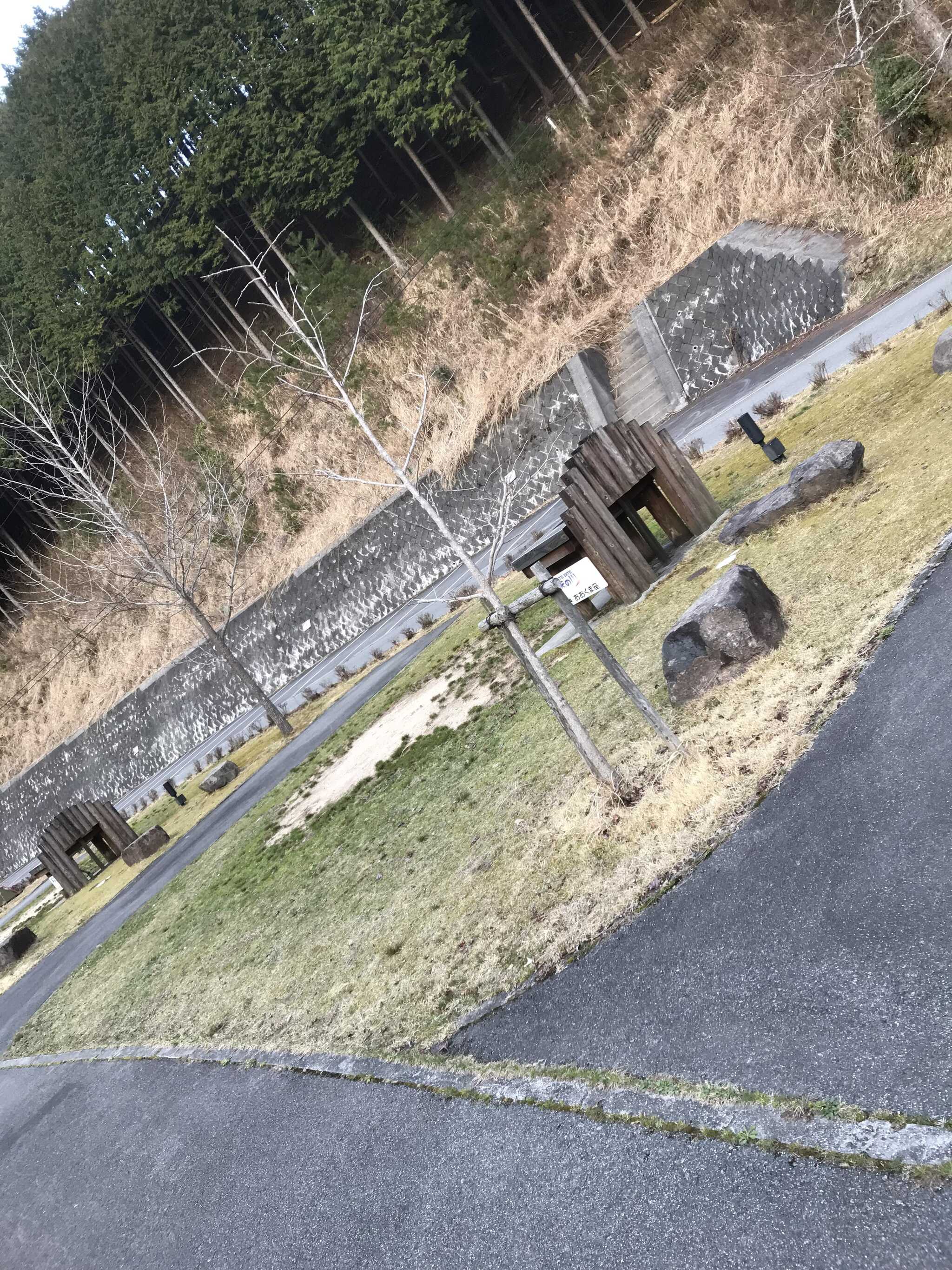 サイト(おおくま座)