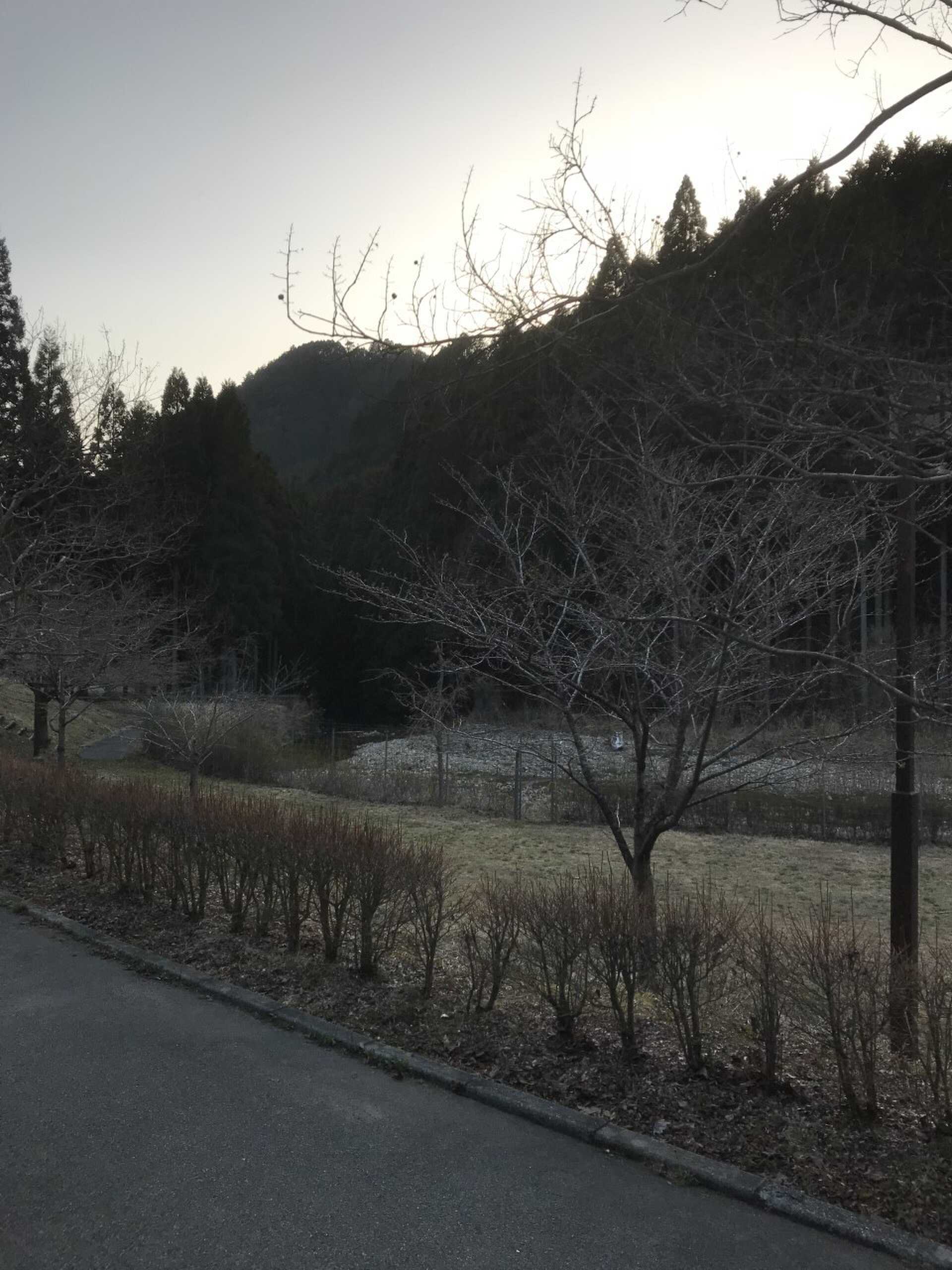 サイト隣接空き地②