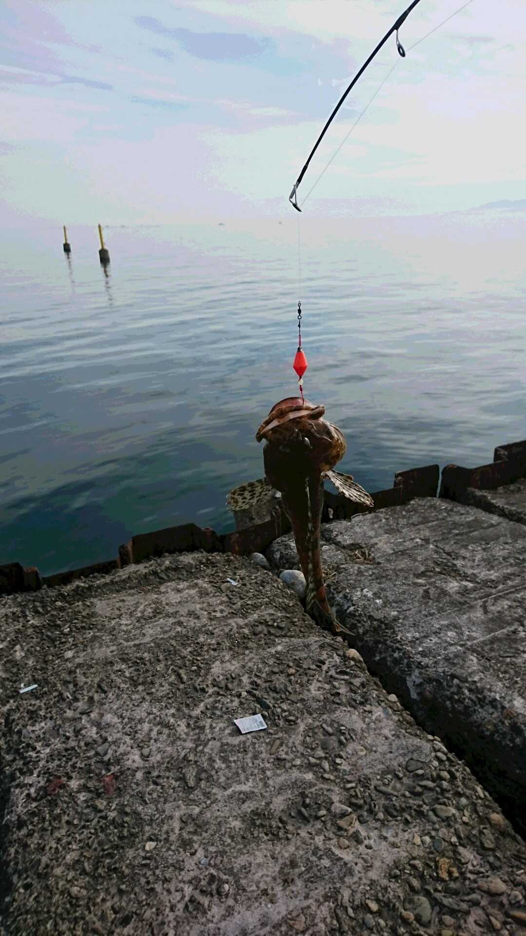 浜黒崎キャンプ場の写真 3枚目