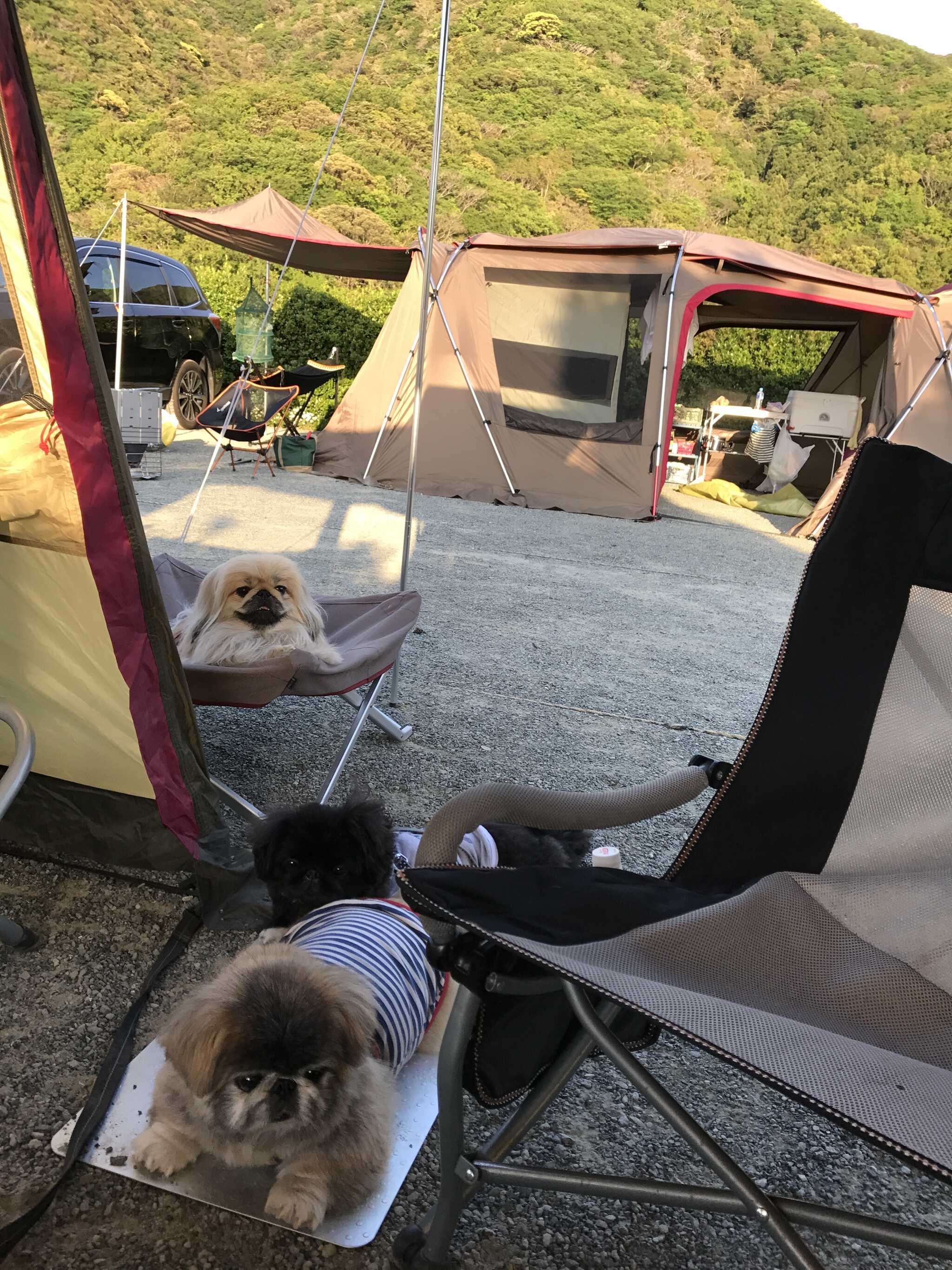 雲見夕陽と潮騒の岬オートキャンプ場の写真 1枚目