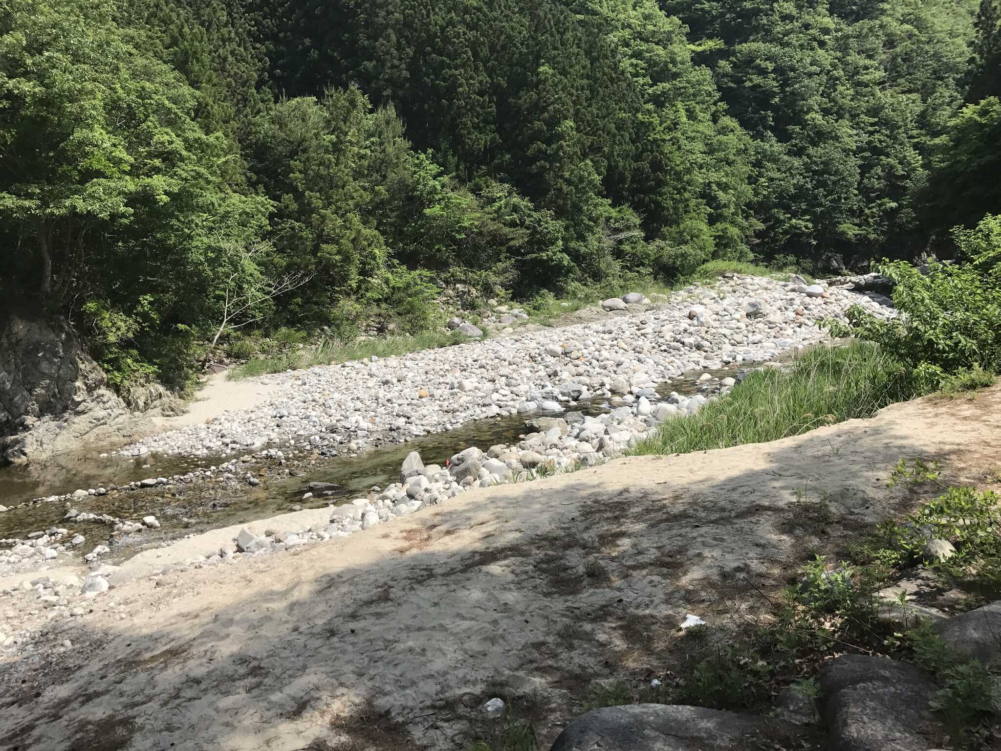 近くの川