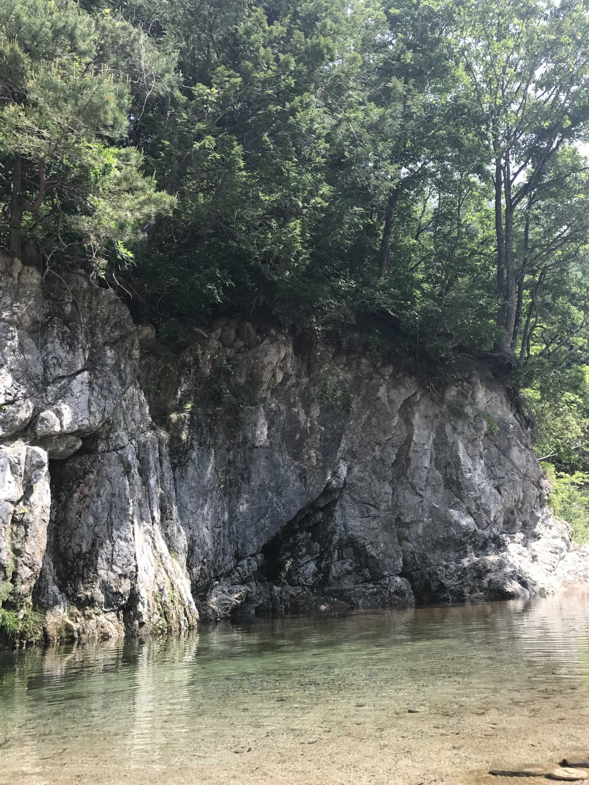 近くの川