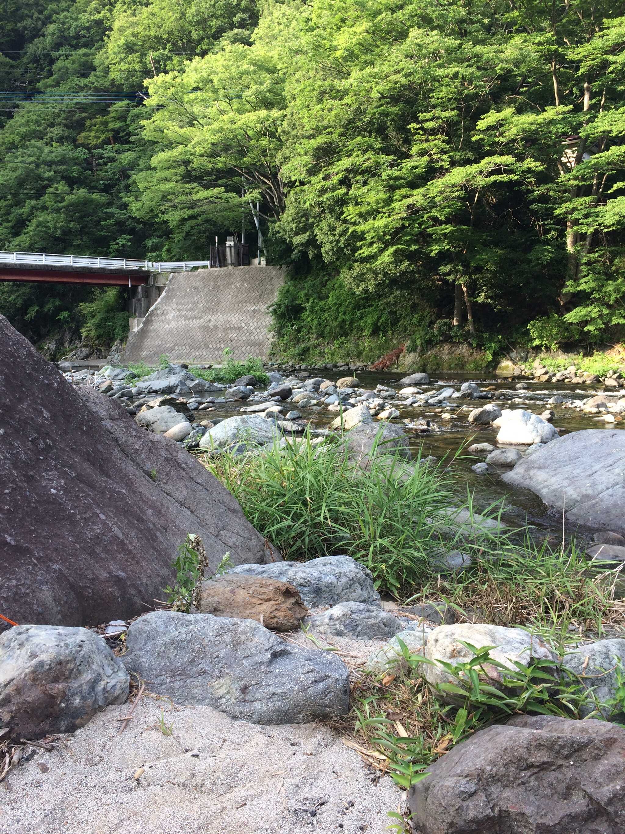 下村キャンプ場の写真 1枚目