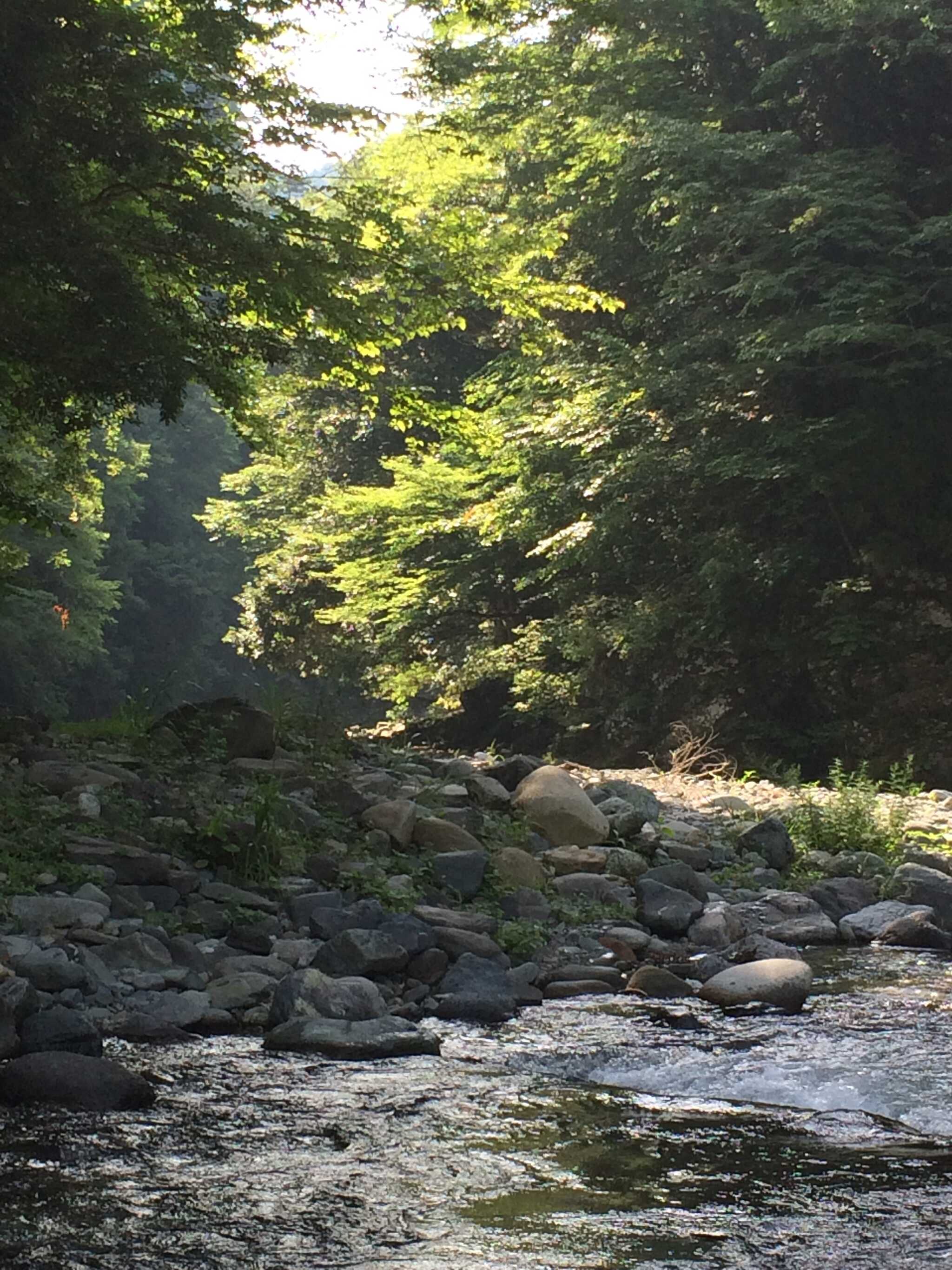 下村キャンプ場の写真 3枚目