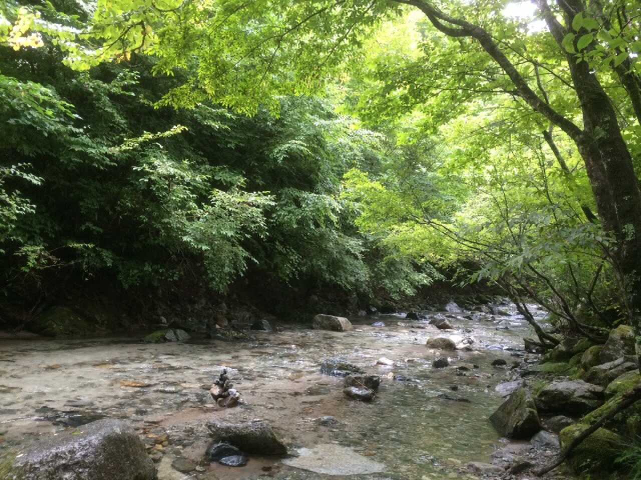 奥道志オートキャンプ場の写真 5枚目