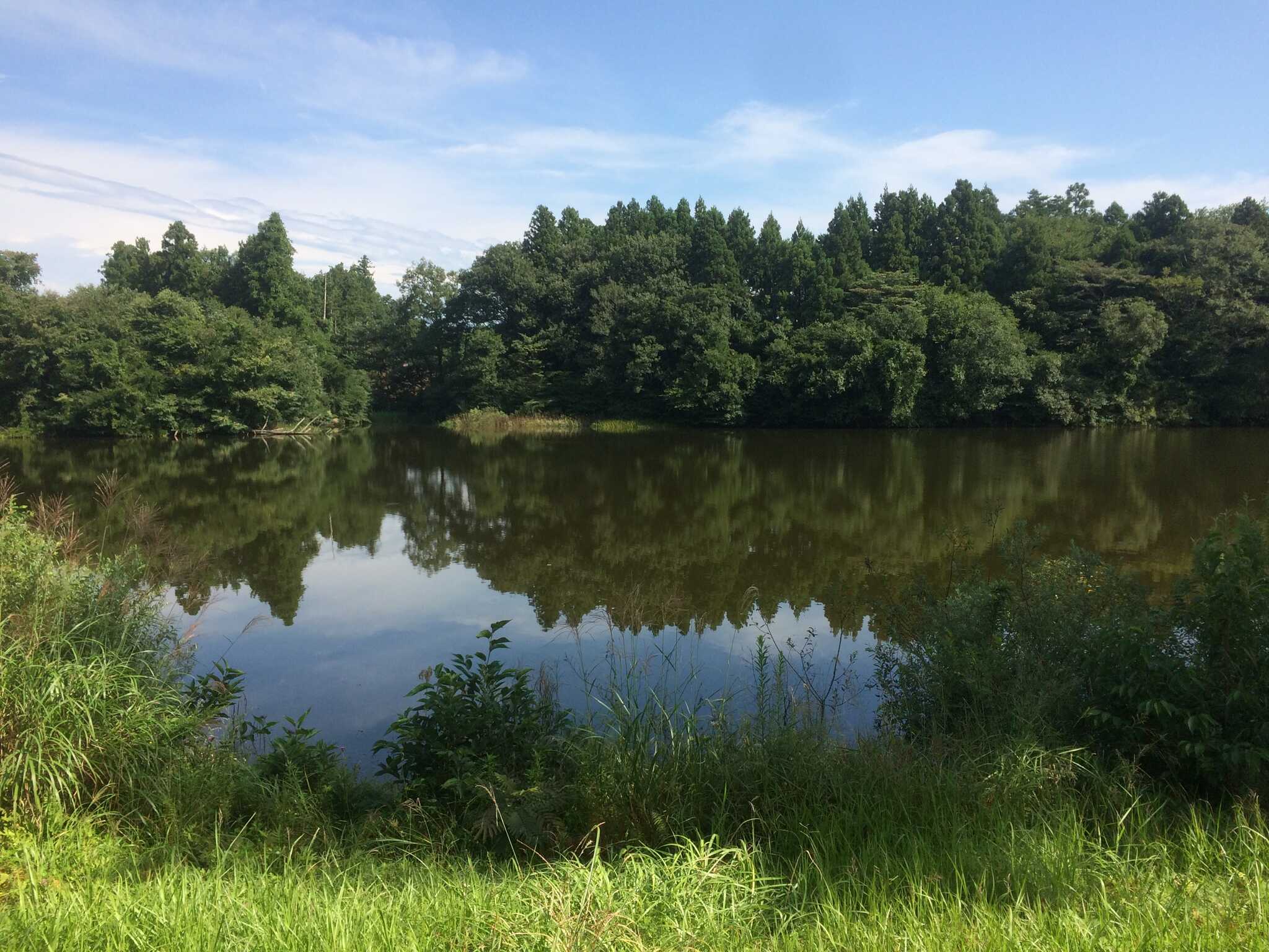 新堤自然公園 レークキャンプ広場の写真 2枚目