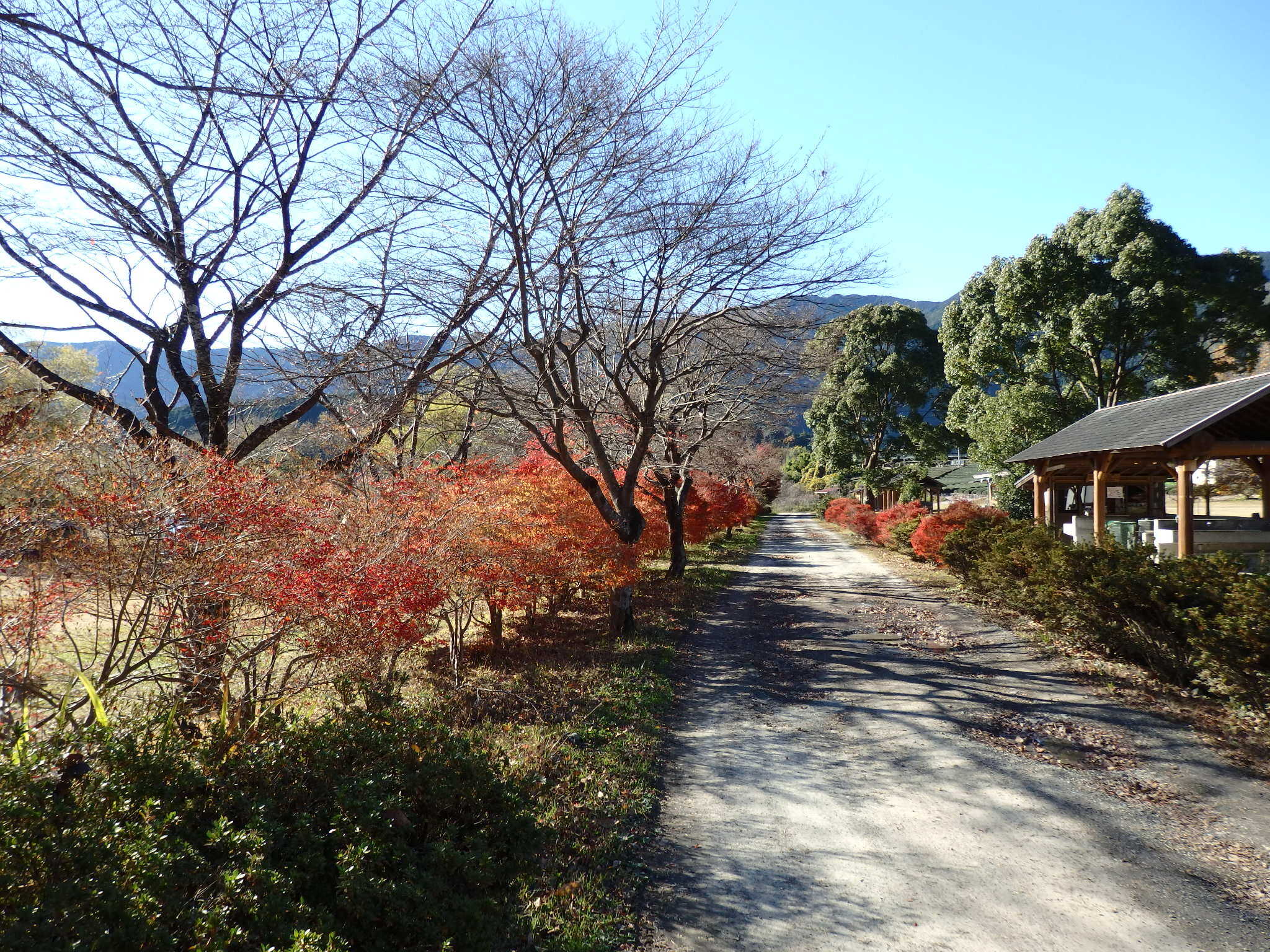 くのわき親水公園キャンプ場の写真 1枚目
