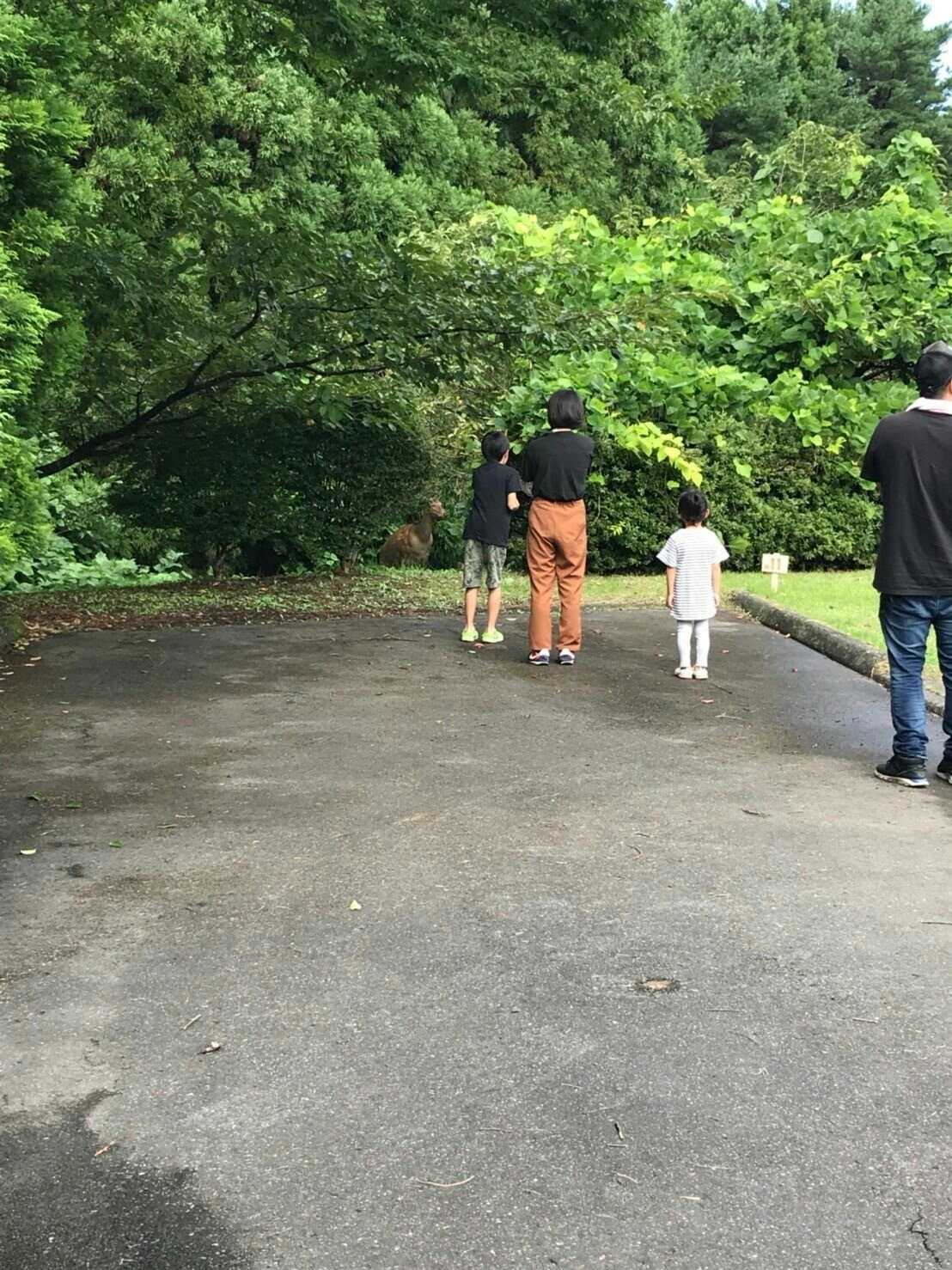 【R1/10現在休止中】船越家族旅行村 オートキャンプ場の写真 5枚目