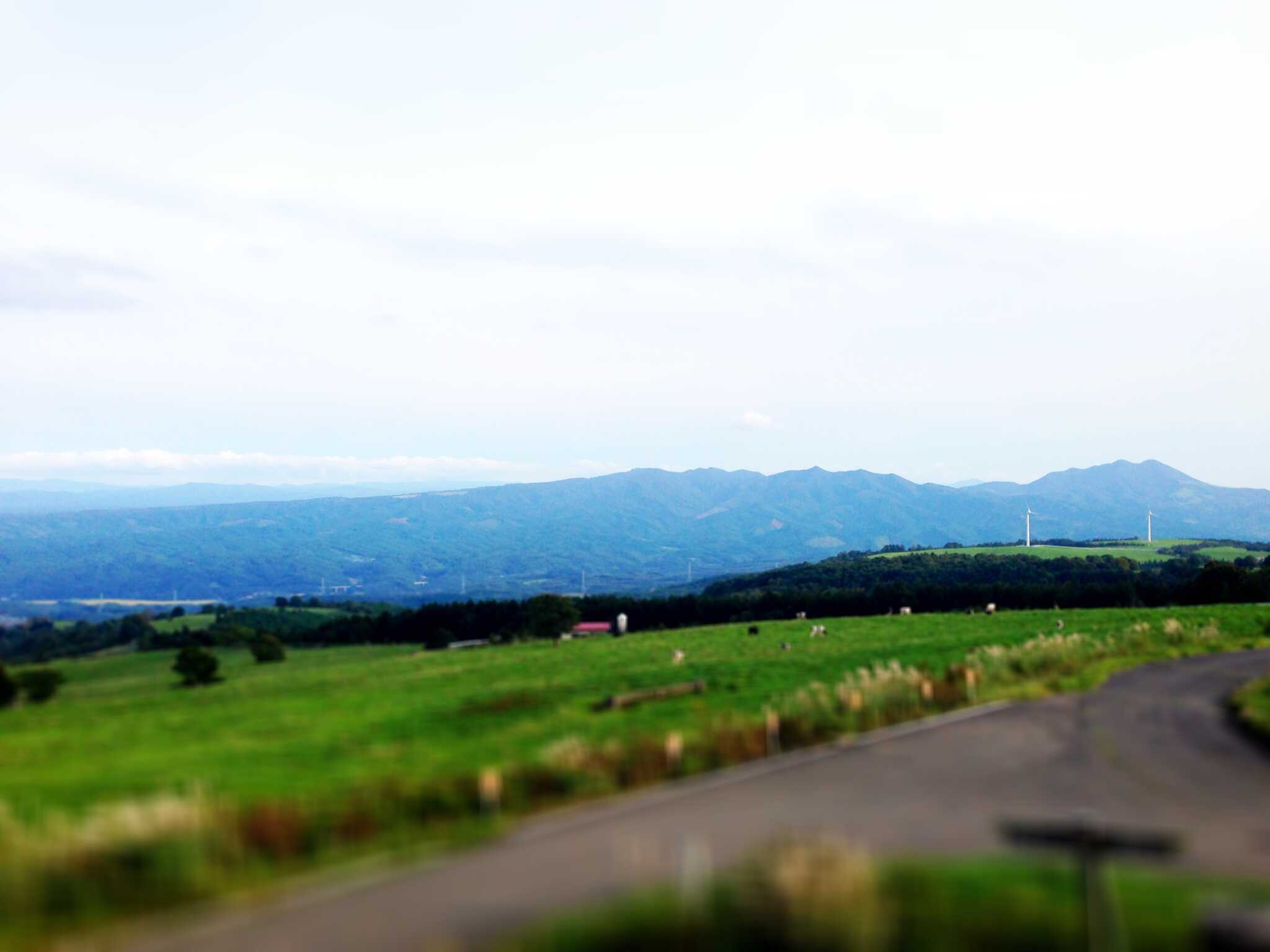 稲庭岳キャンプ場の写真 1枚目
