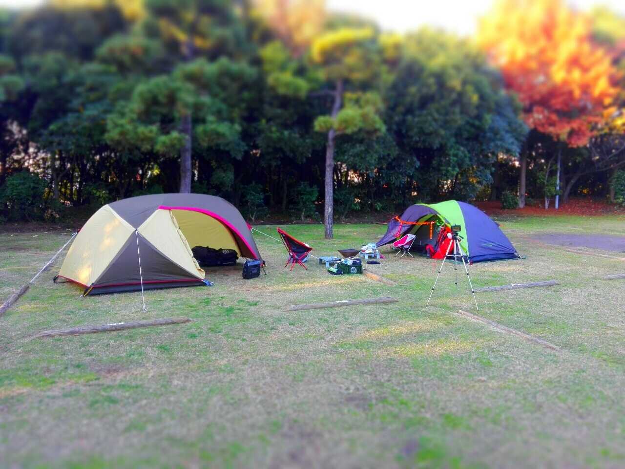 若洲公園キャンプ場の写真 3枚目