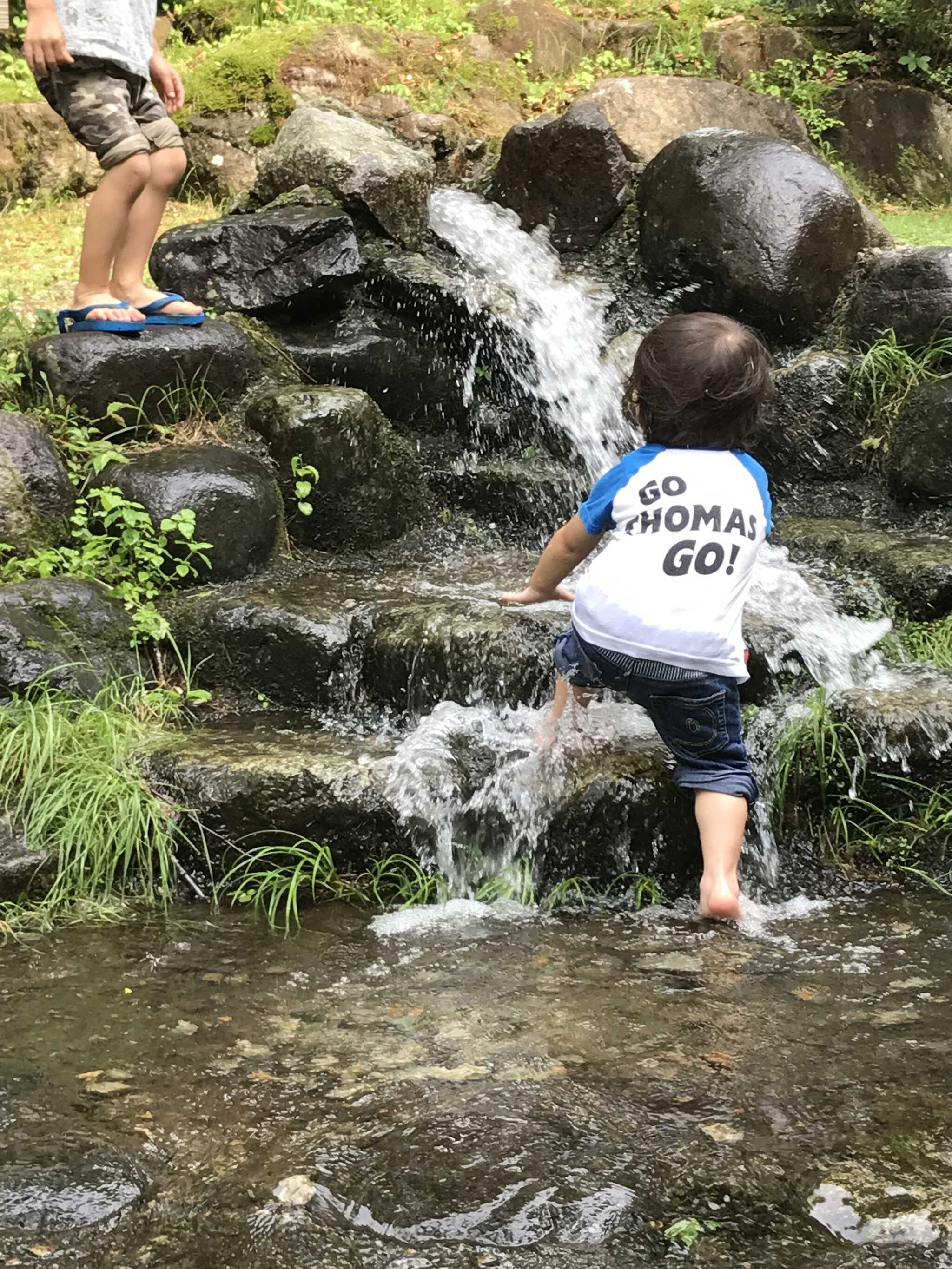 キャンプラビットの写真 5枚目