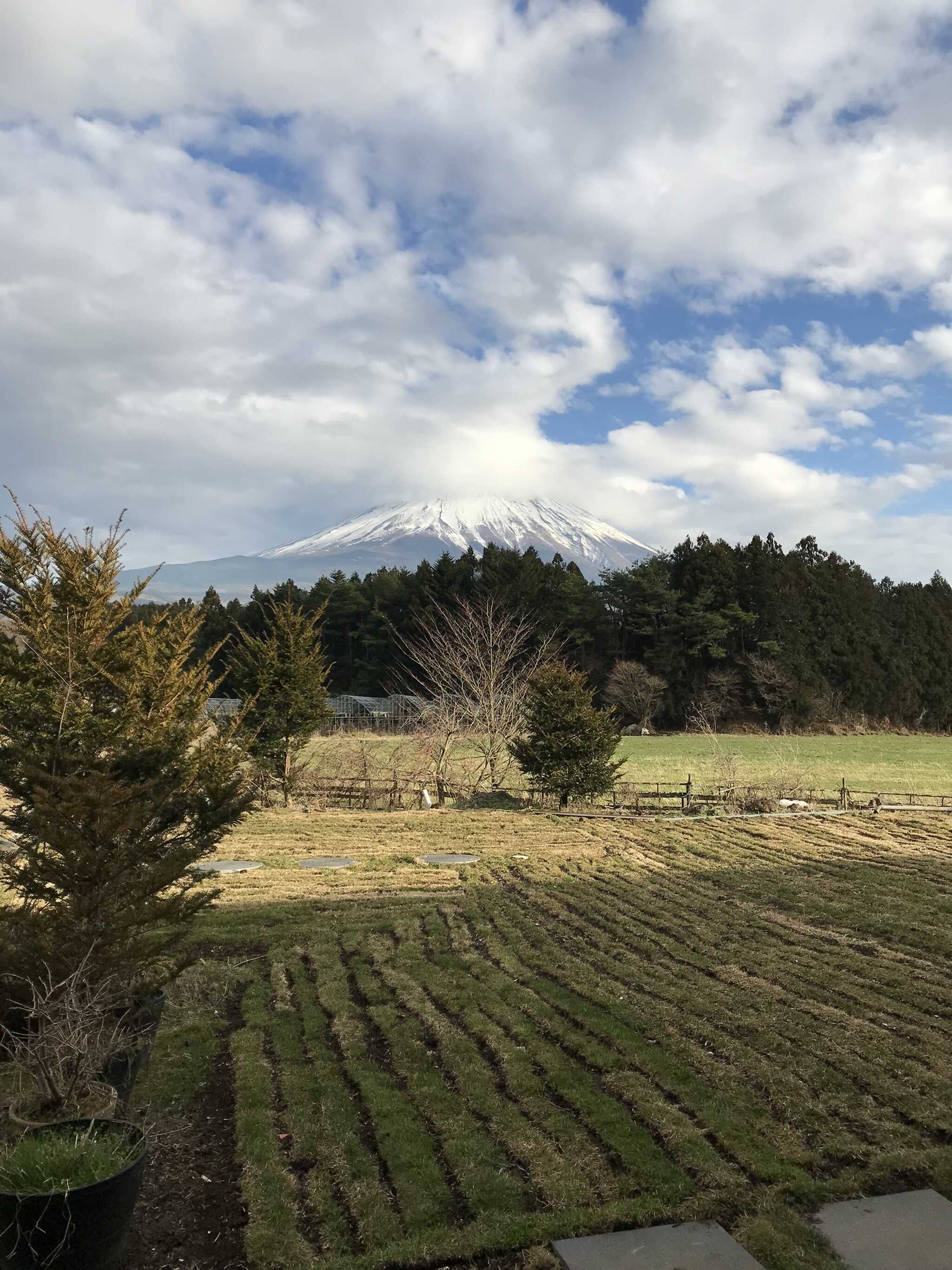 富士の山