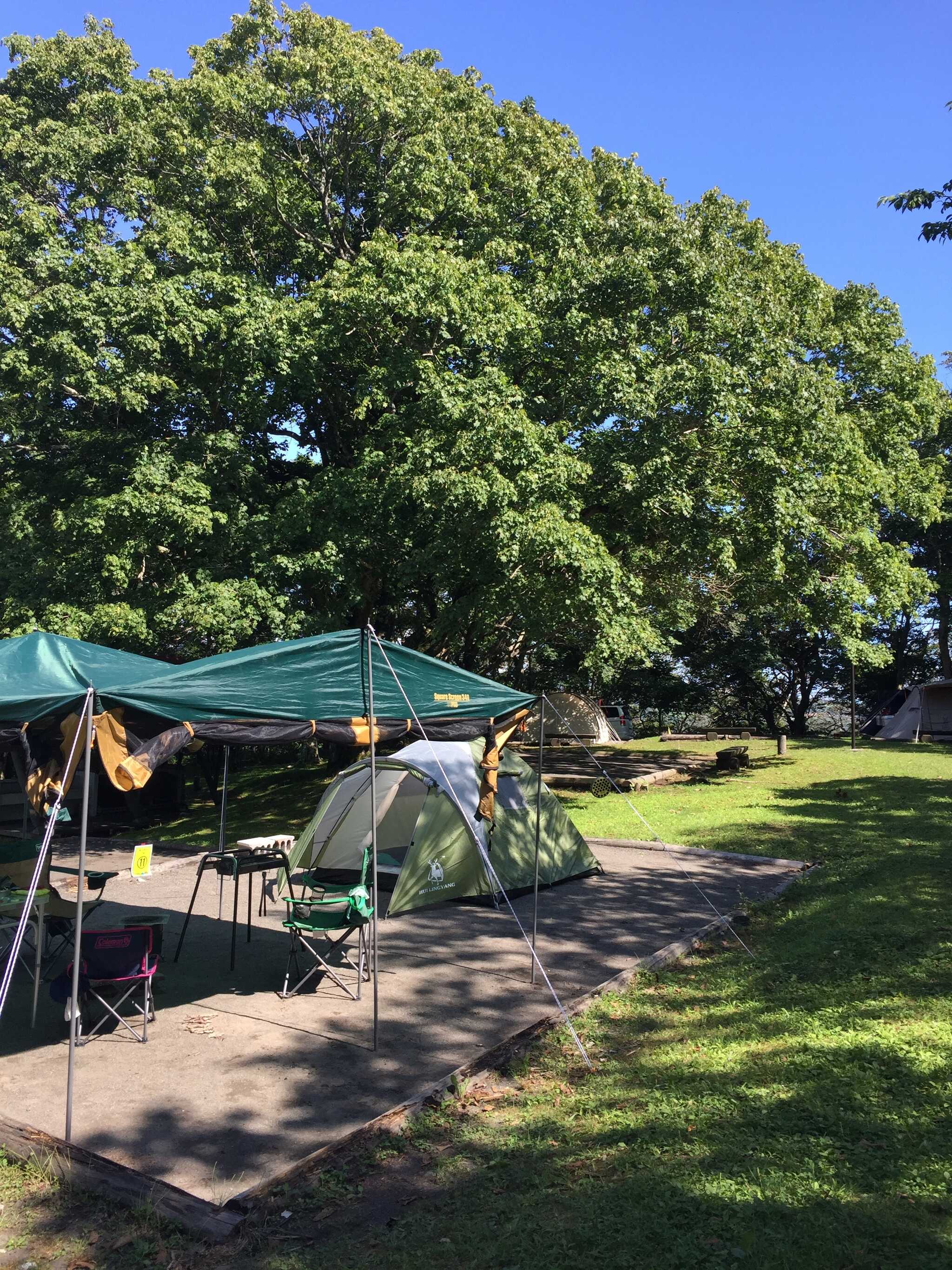 判官館森林公園キャンプ場の写真 2枚目