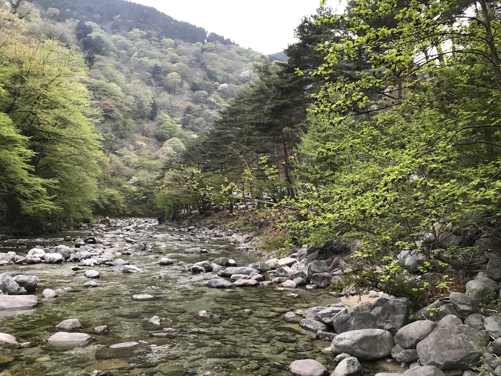 峡北恵那キャンプ場の写真 4枚目