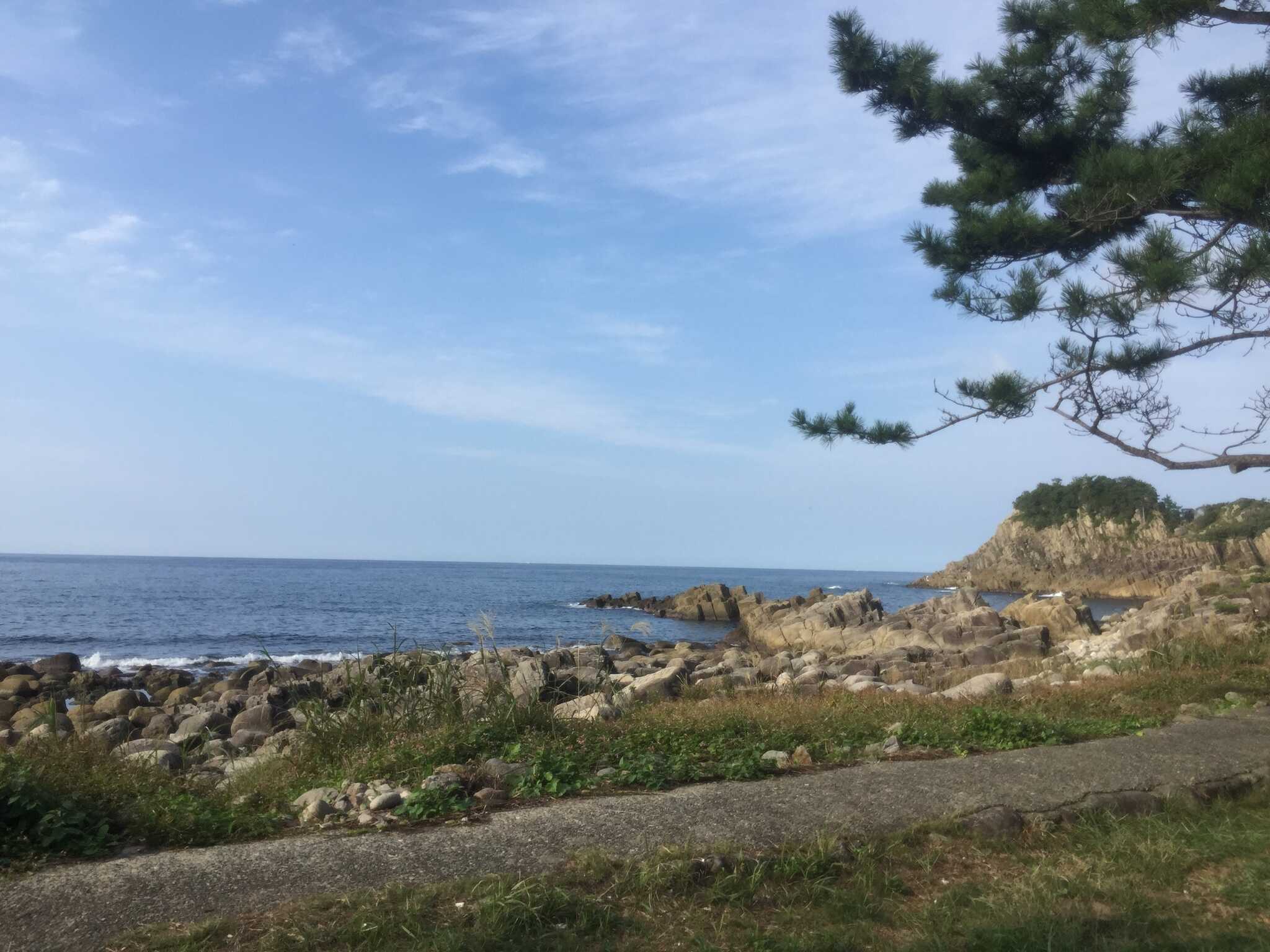鮎川園地キャンプ場の写真 4枚目