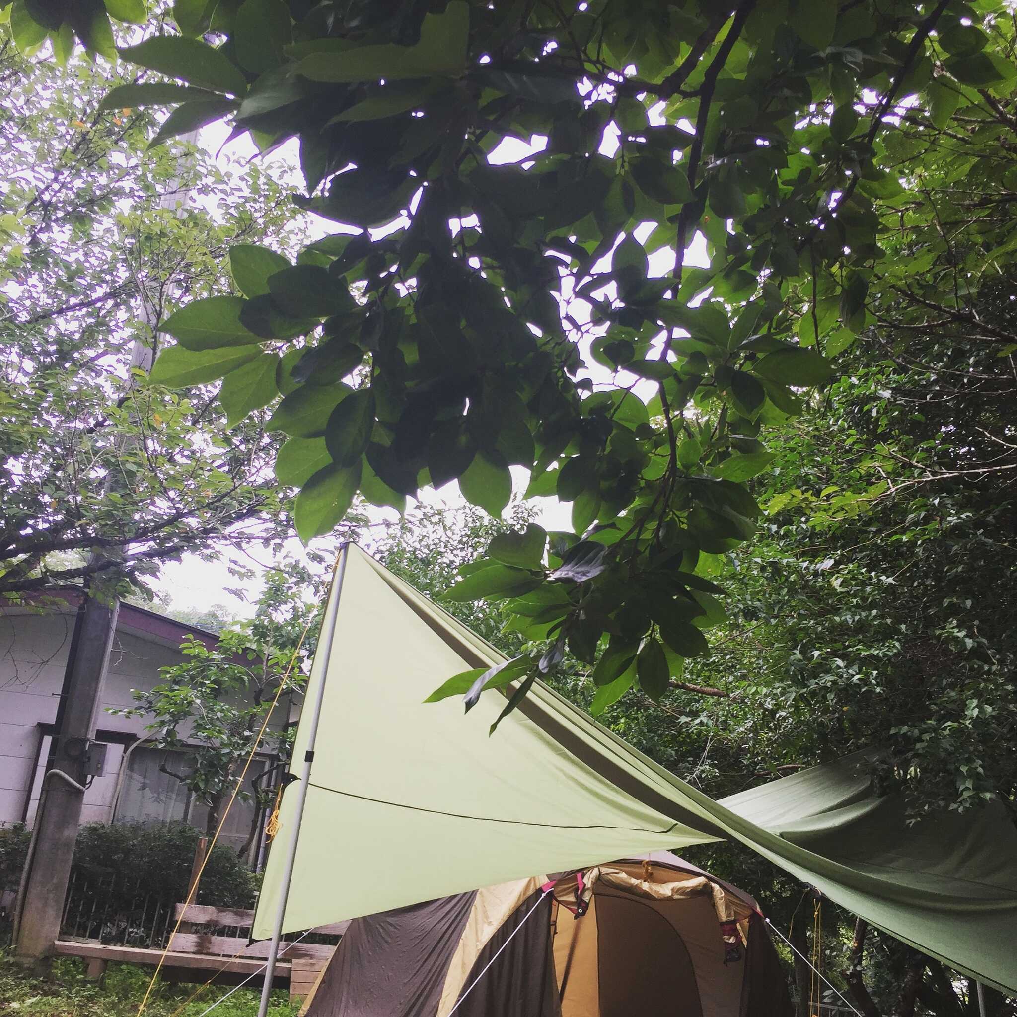 秋川渓谷 OTSU NATURE GARDENの写真 2枚目