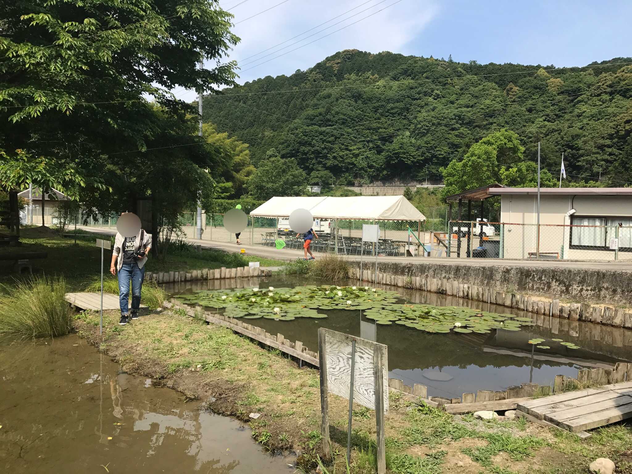 細野渓流キャンプ場の写真 1枚目