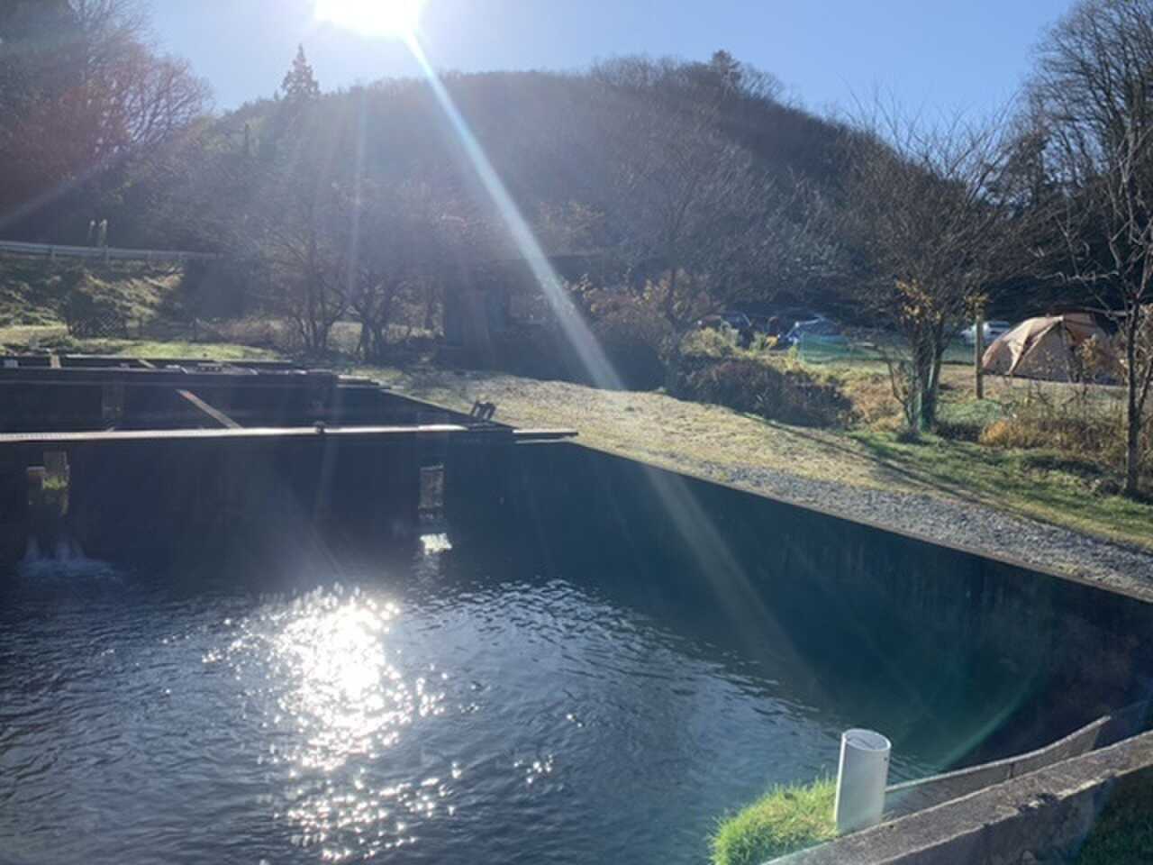 釣り堀