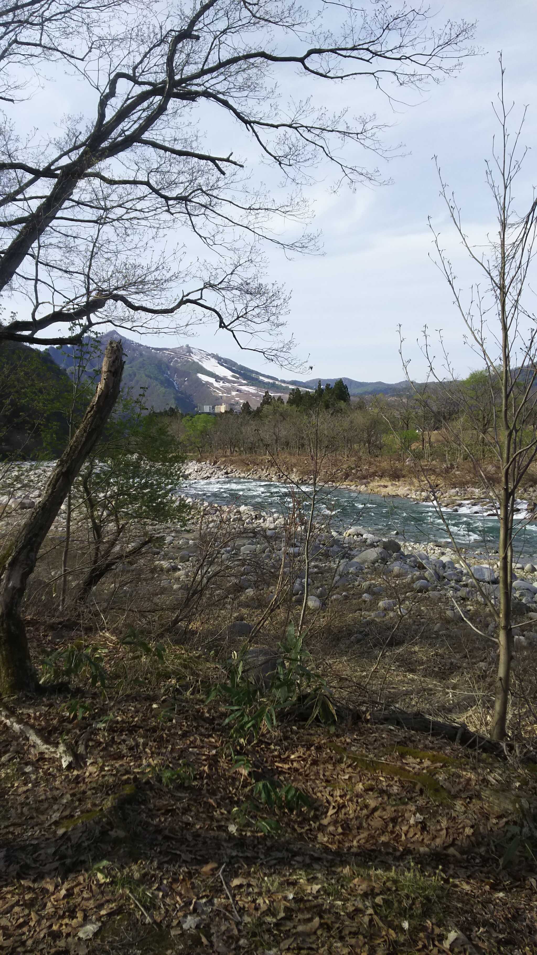 RIVERSIDE VILLAGE(旧:湯沢リバーサイドキャンプサイト&カフェ)のユーザー投稿写真 10枚目
