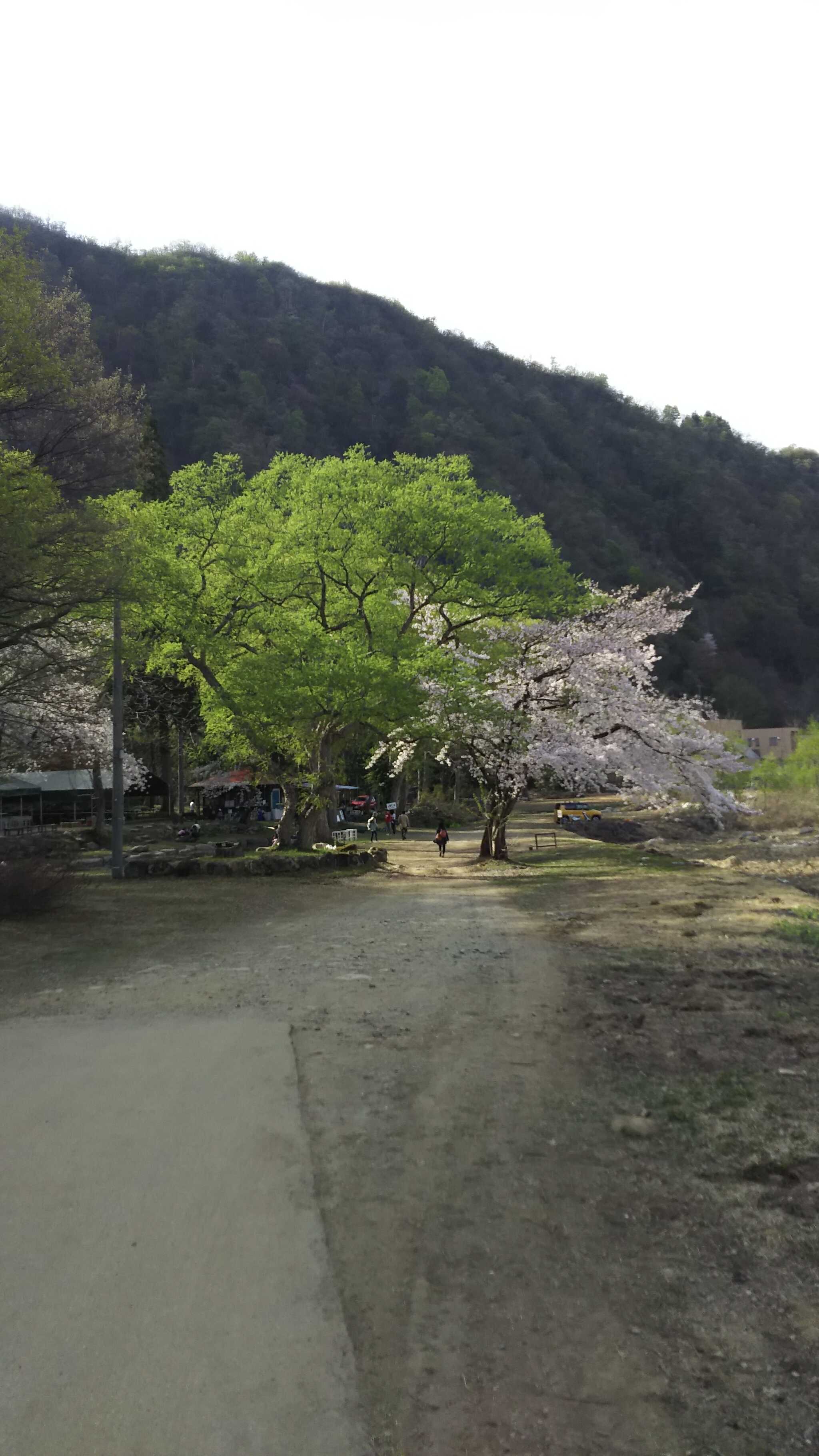 RIVERSIDE VILLAGE(旧:湯沢リバーサイドキャンプサイト&カフェ)のユーザー投稿写真 7枚目