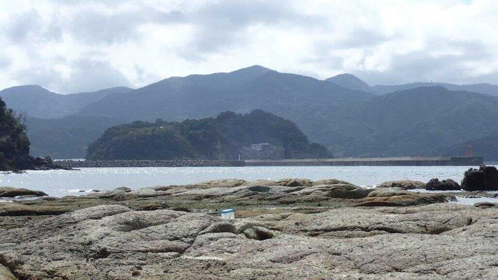 今子浦キャンプ場の写真 5枚目