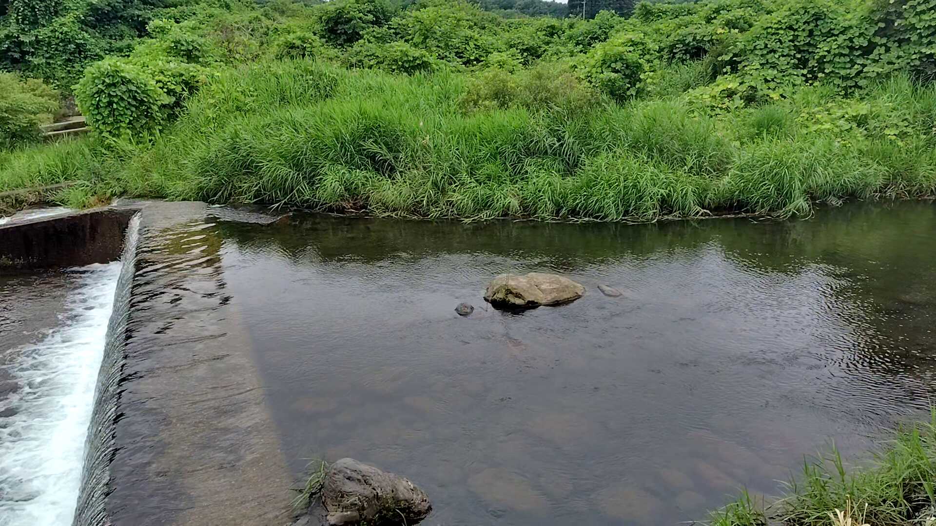 余笹川