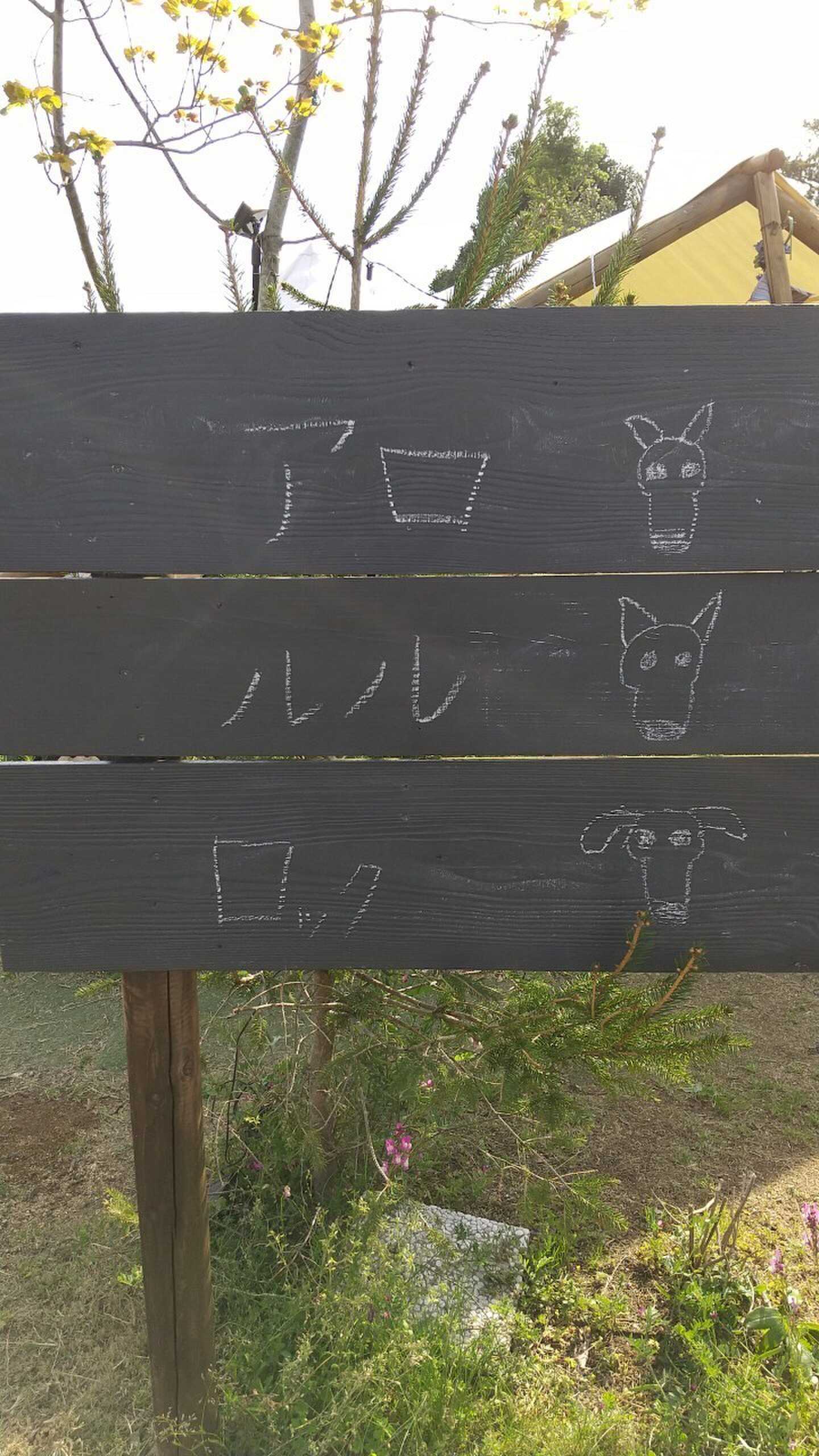 名刺