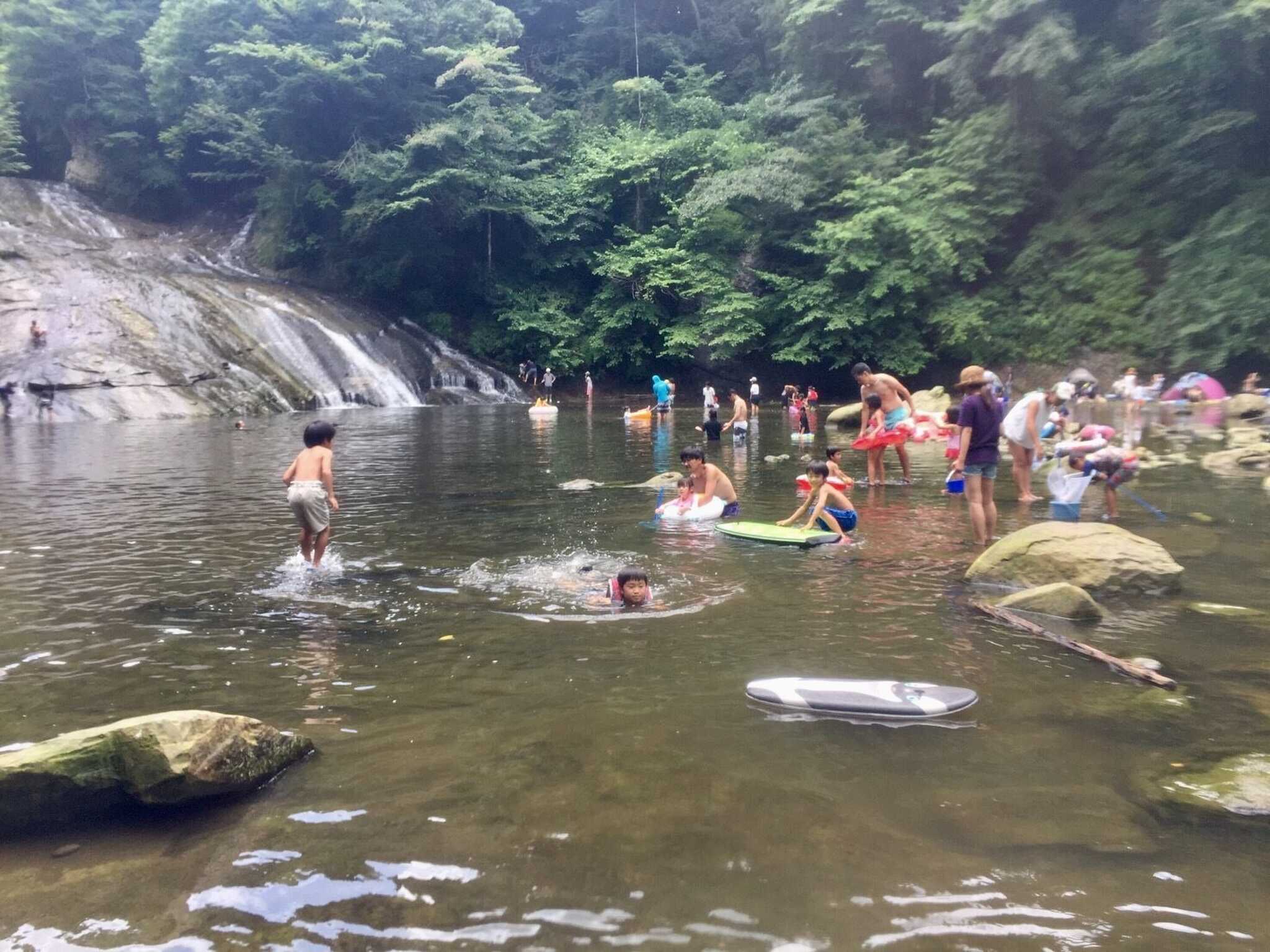 いちはらクオードの森の写真 2枚目
