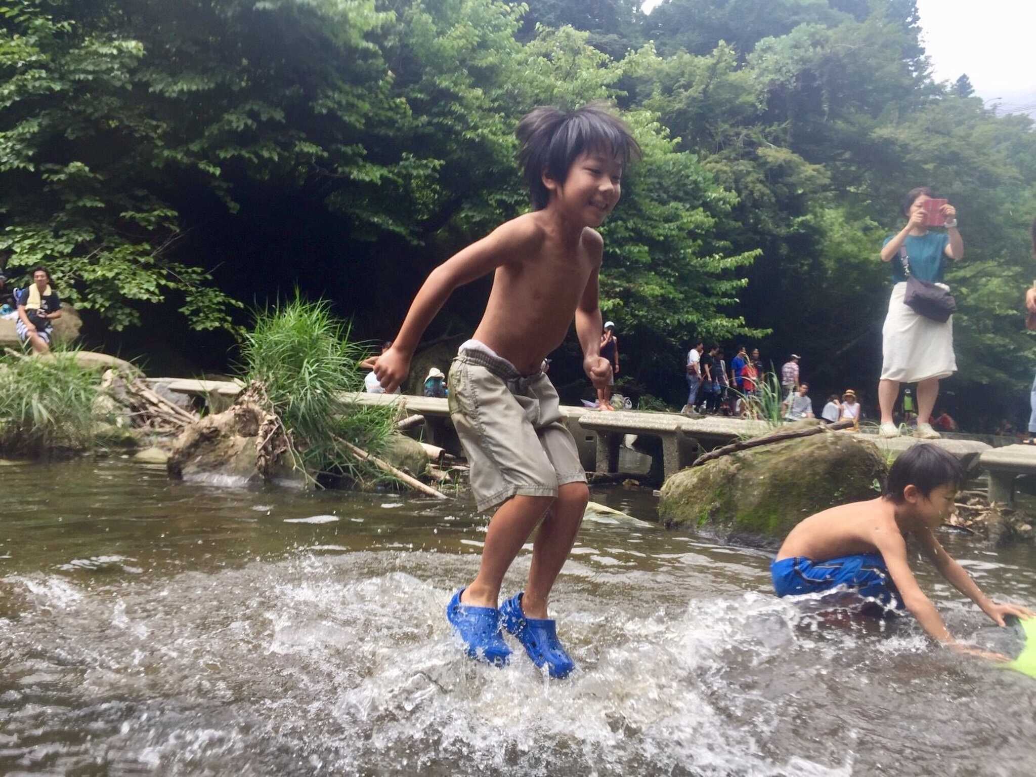 いちはらクオードの森の写真 4枚目