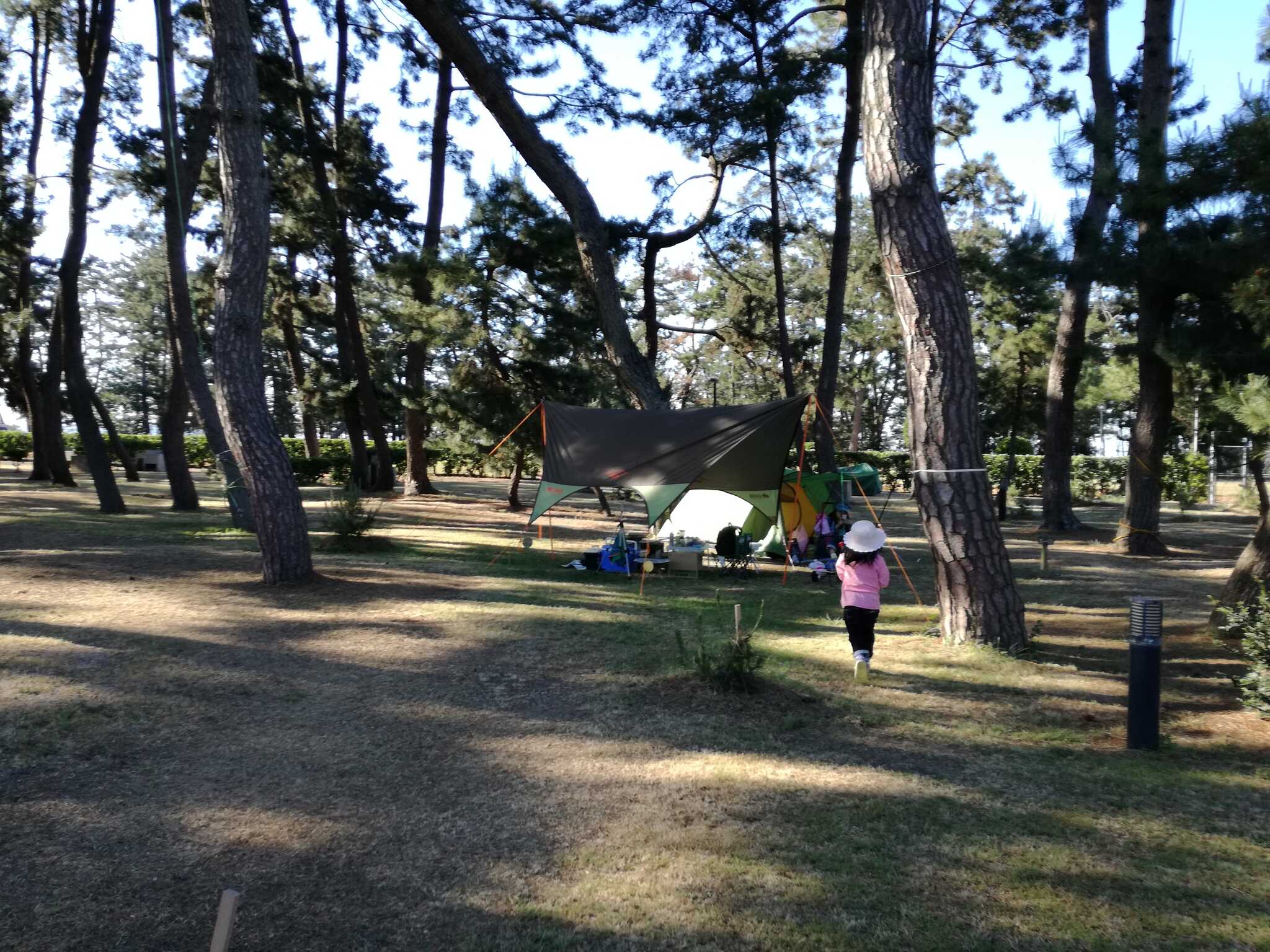 日吉津村海浜運動公園キャンプ場のユーザー投稿写真 8枚目