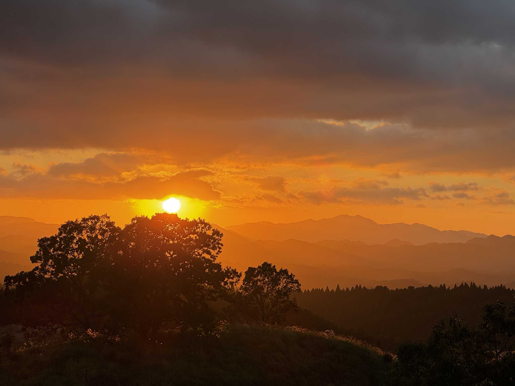 サイコーの夕陽