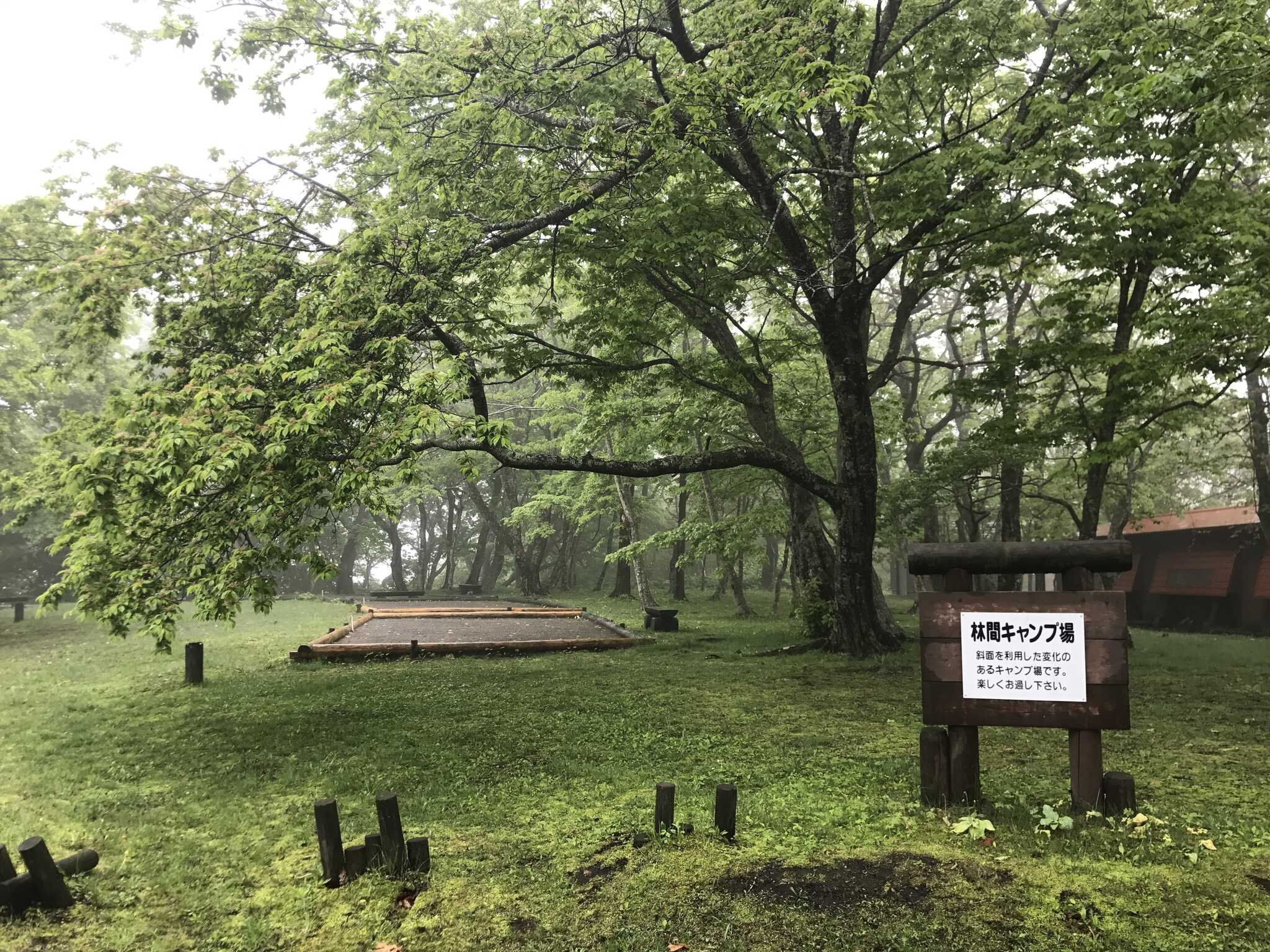 判官館森林公園キャンプ場の写真 4枚目