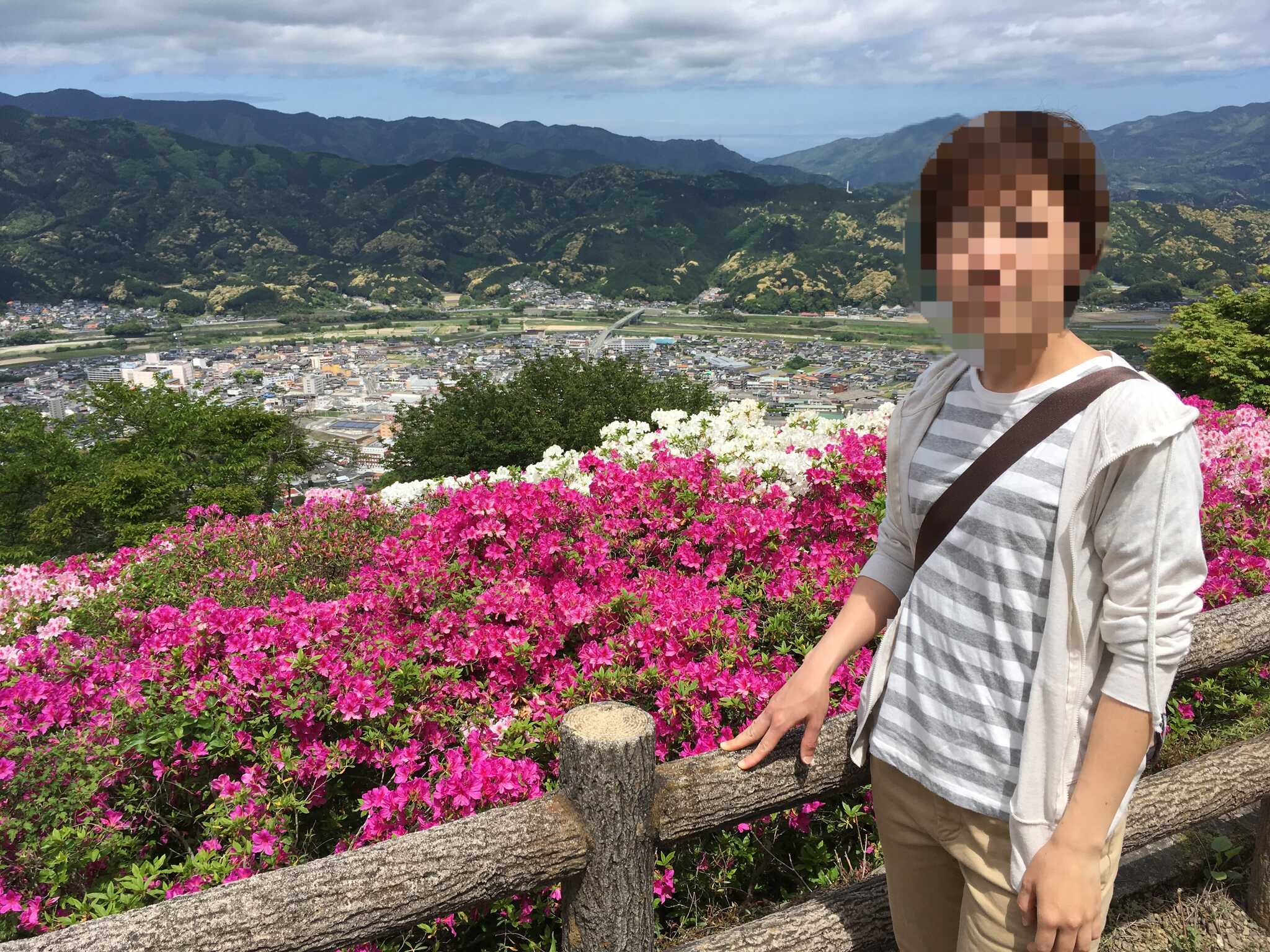 冨士山自然公園 満開のツツジと大洲市内