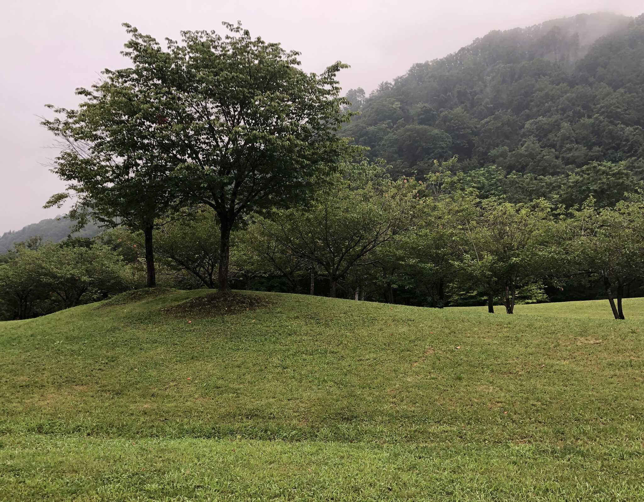 風景