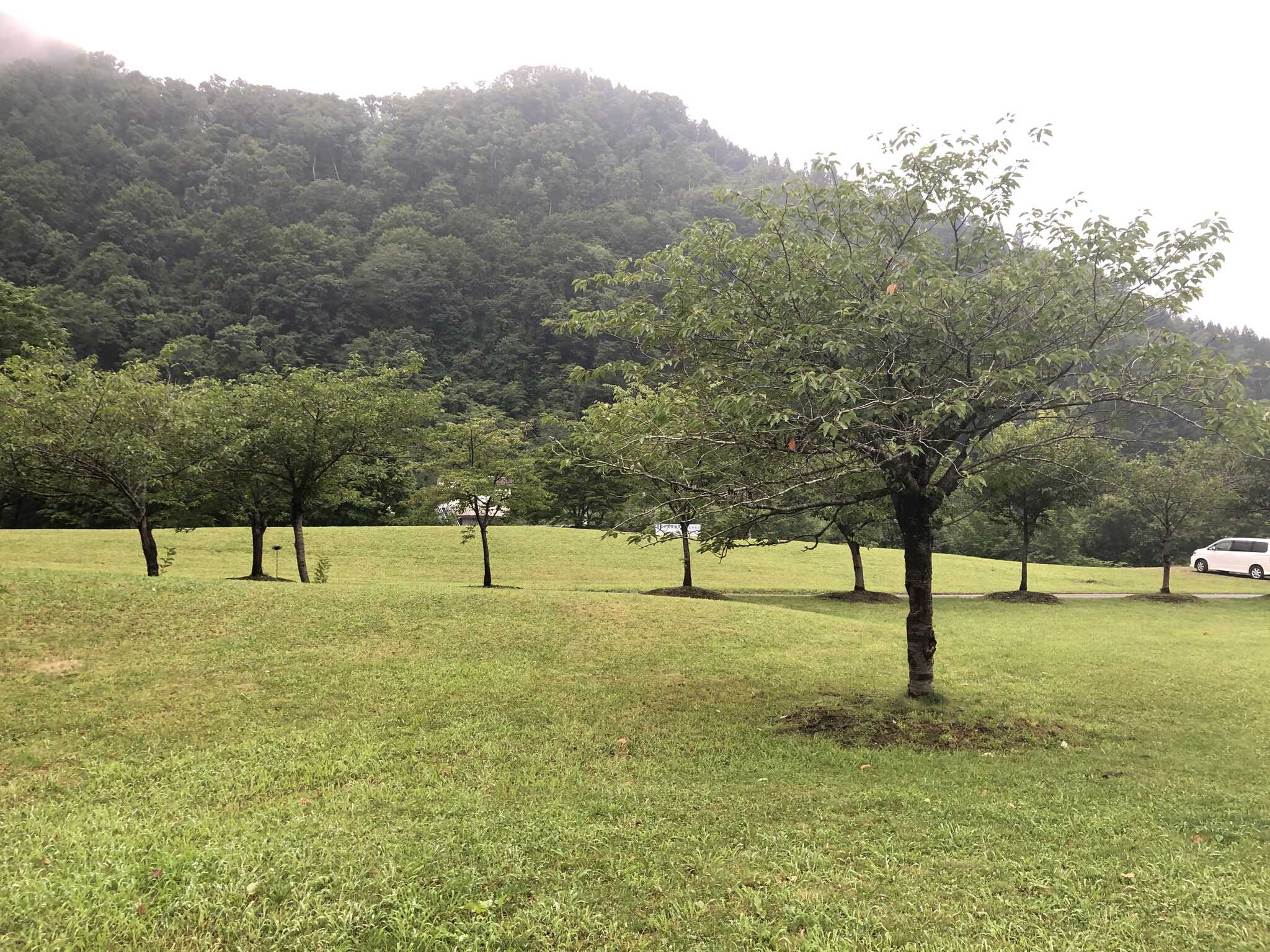 風景