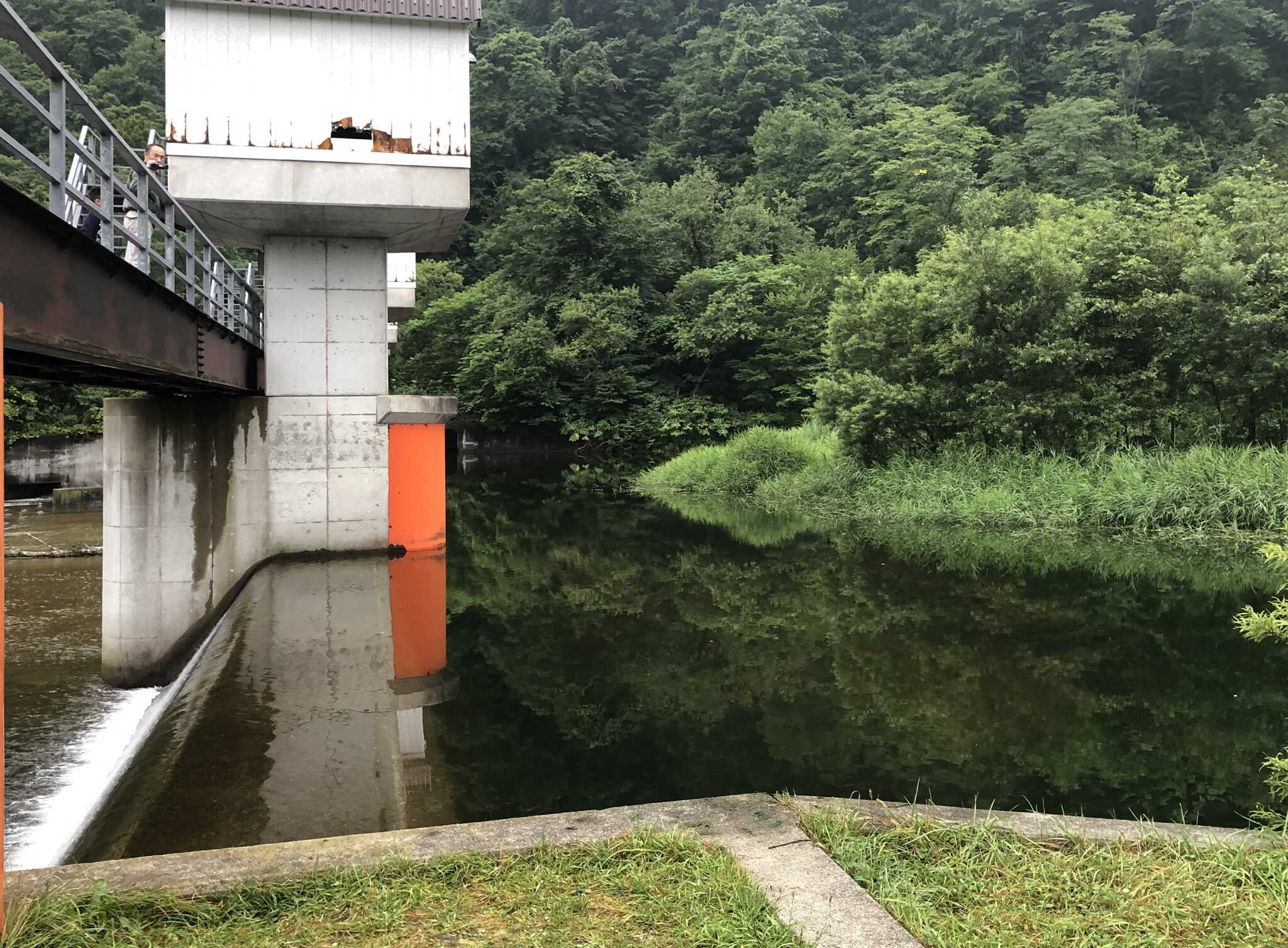 ダム