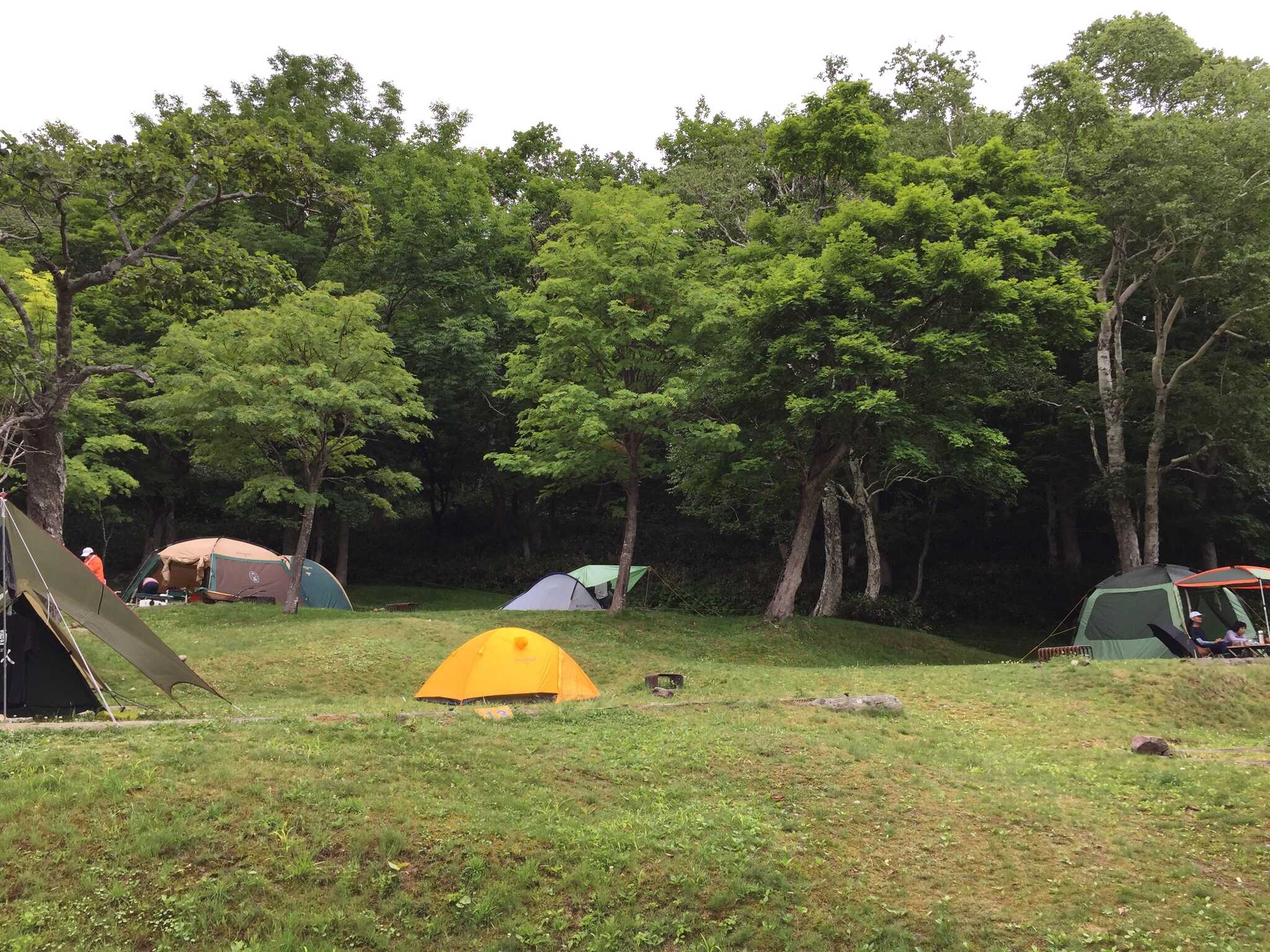 知床国立公園羅臼温泉野営場の写真 5枚目