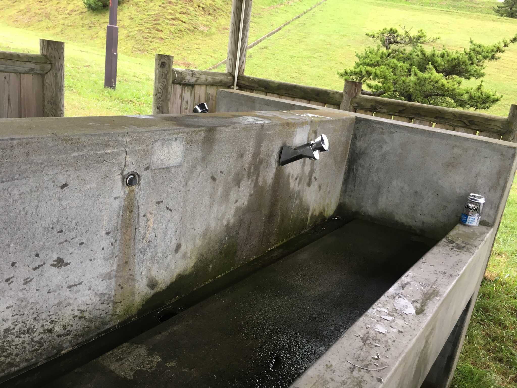 夷王山キャンプ場の写真 1枚目