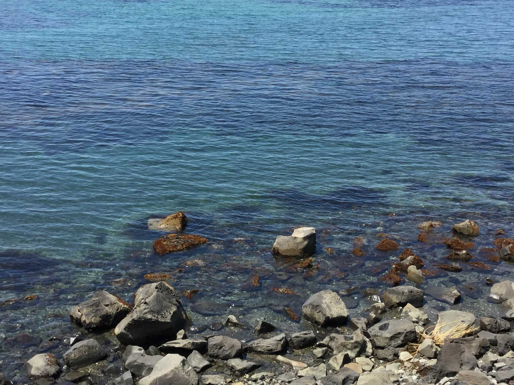 天気のいい日は海が透き通ってます。