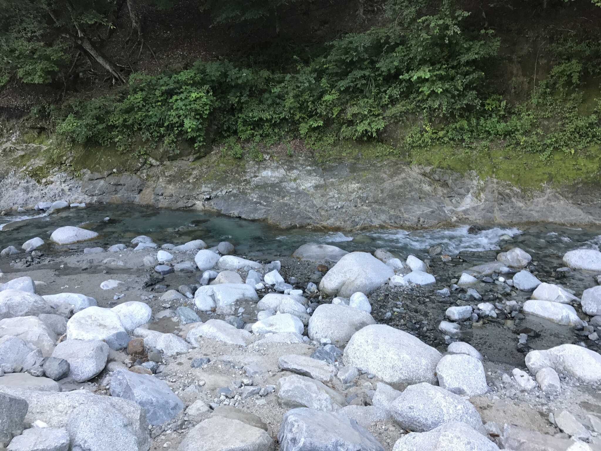 透き通ったきれいな水