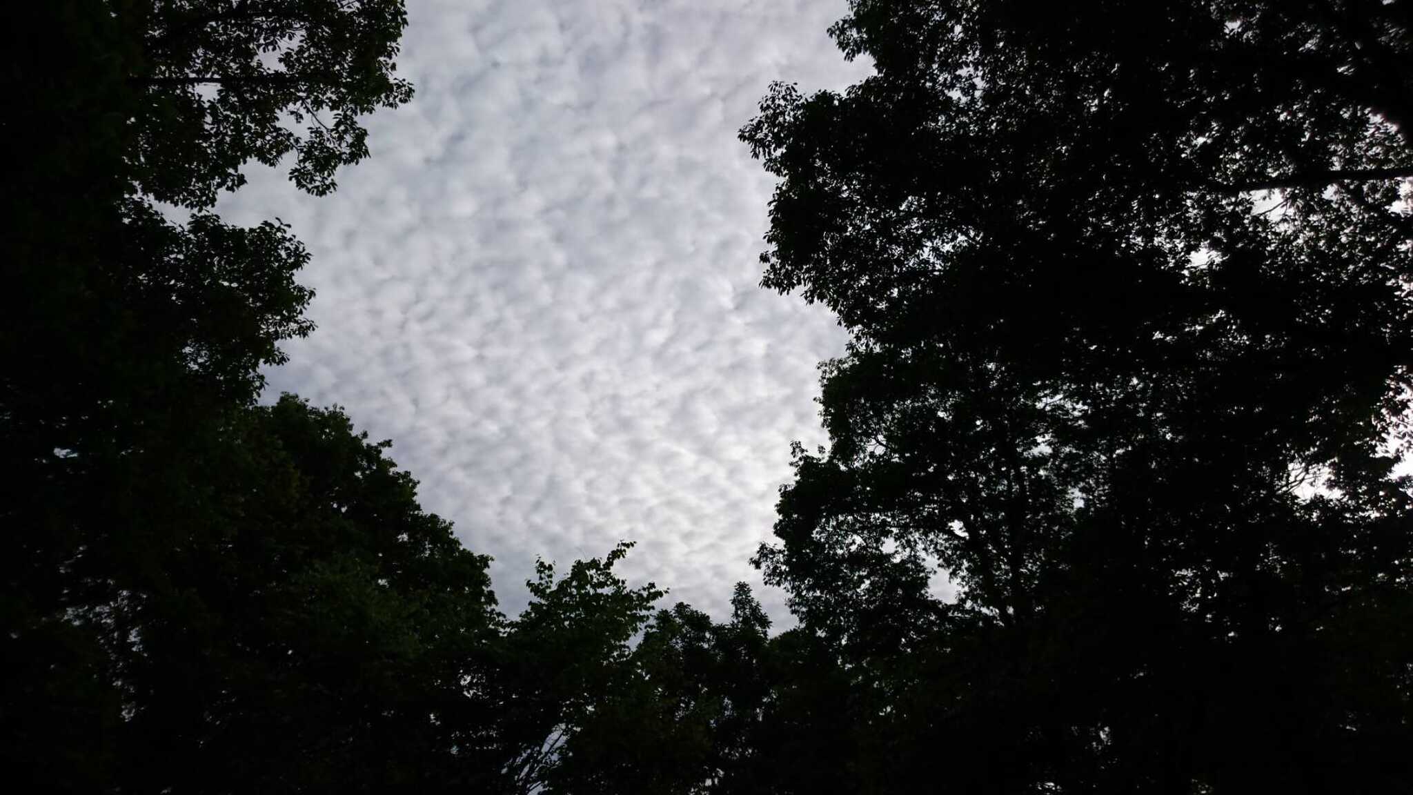 いい感じの雲