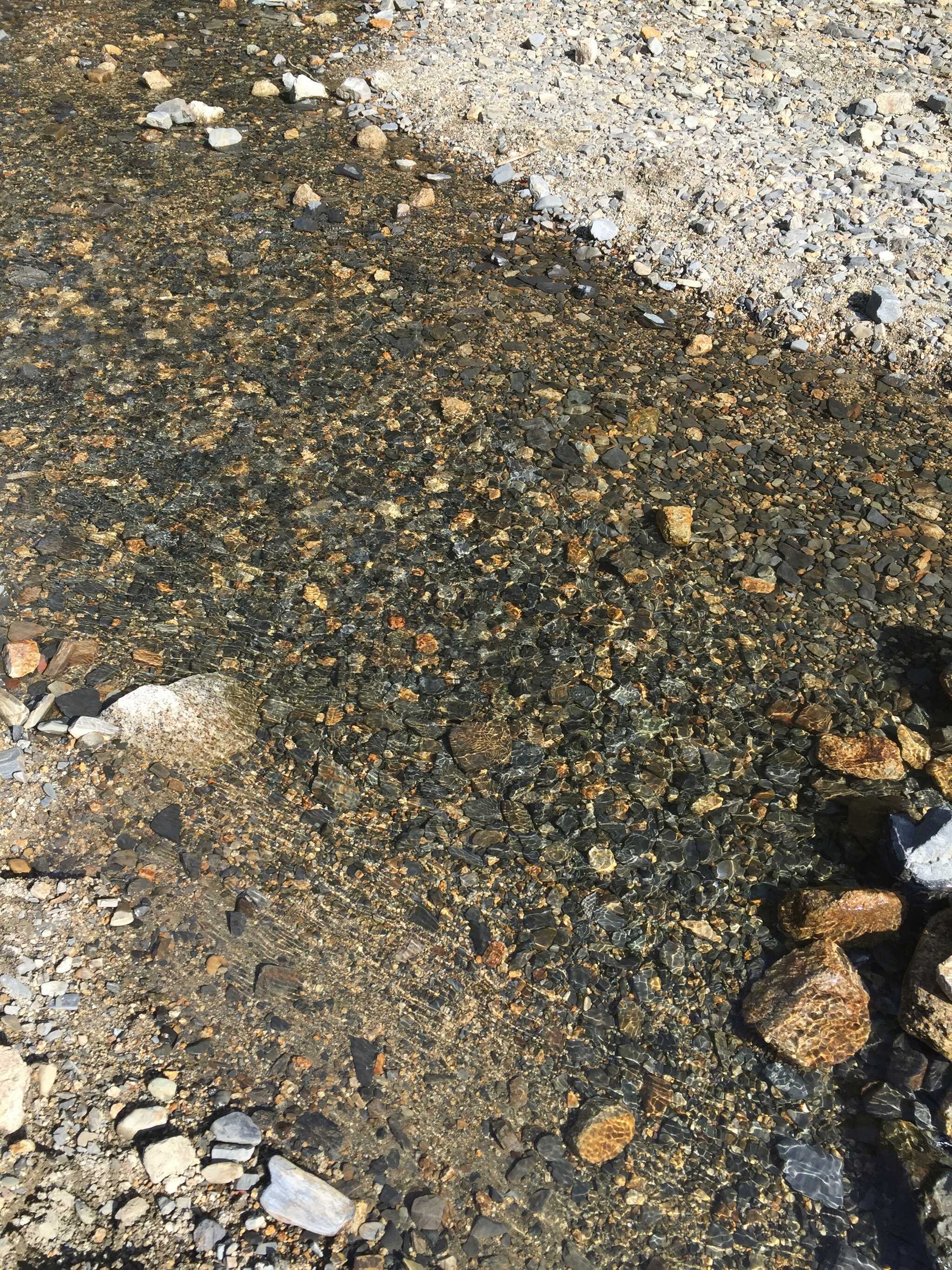 山城町森林公園の写真 3枚目